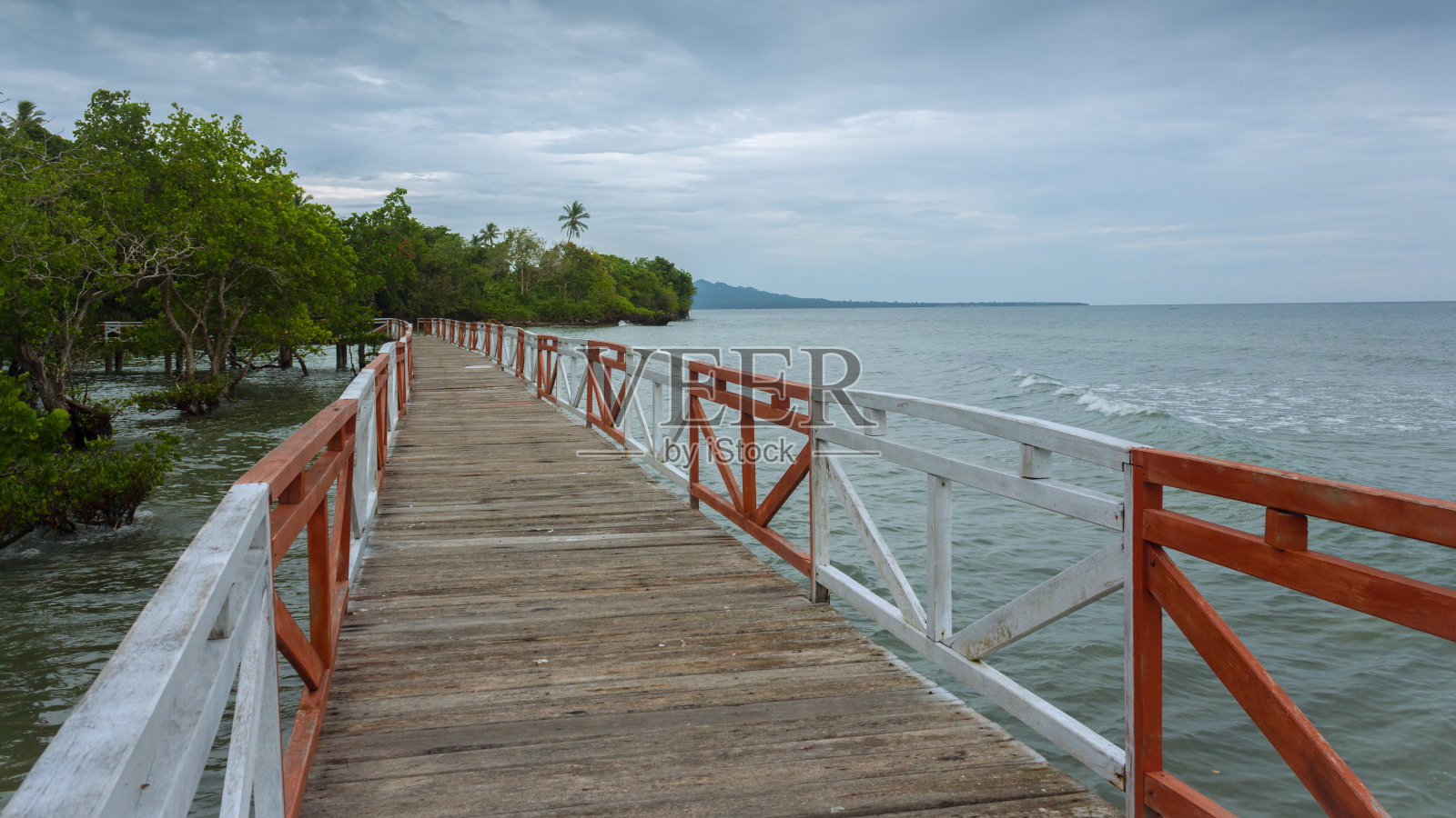 景观木桥(红树林旅游)照片摄影图片