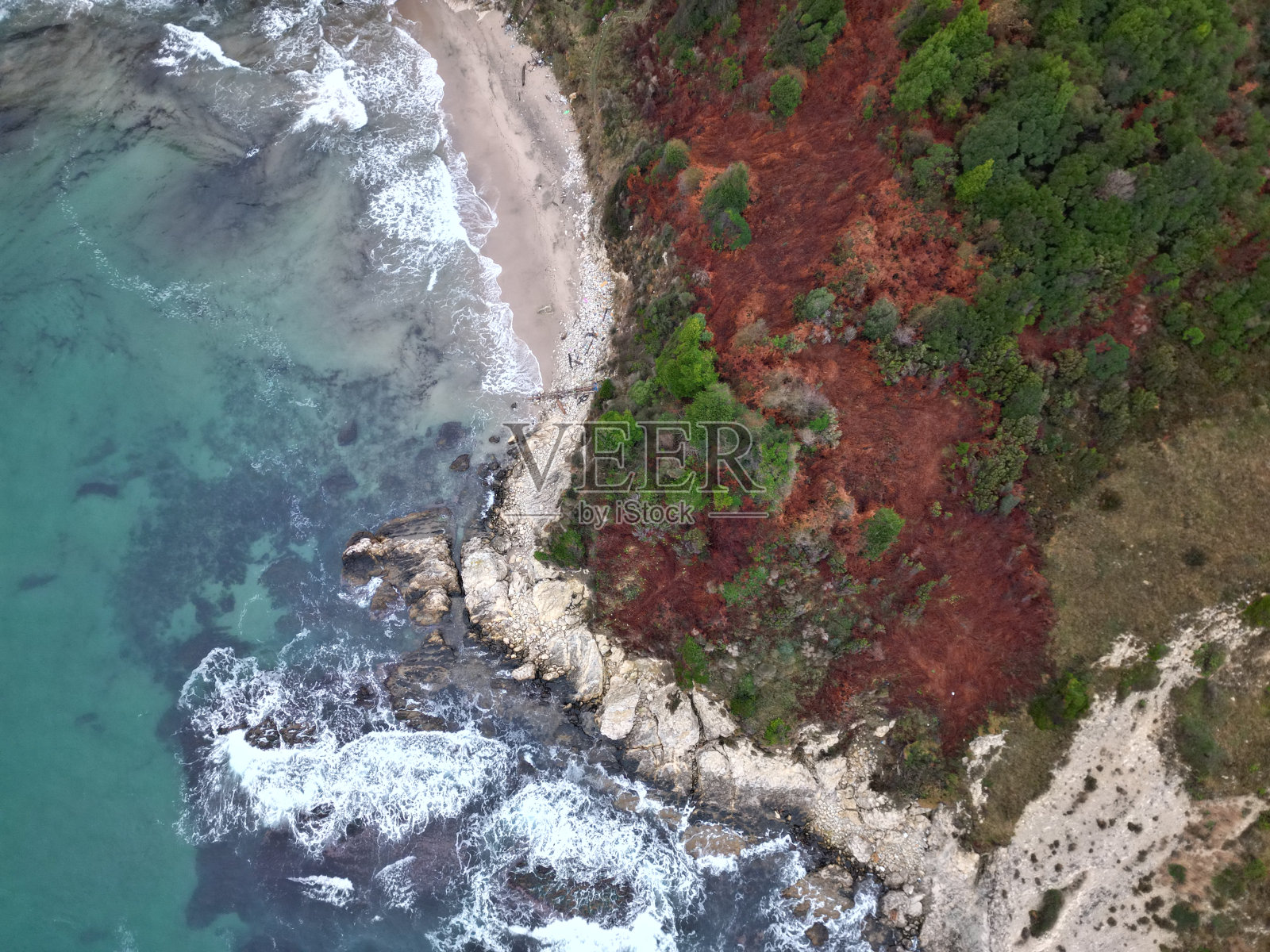 海边和红色森林照片摄影图片