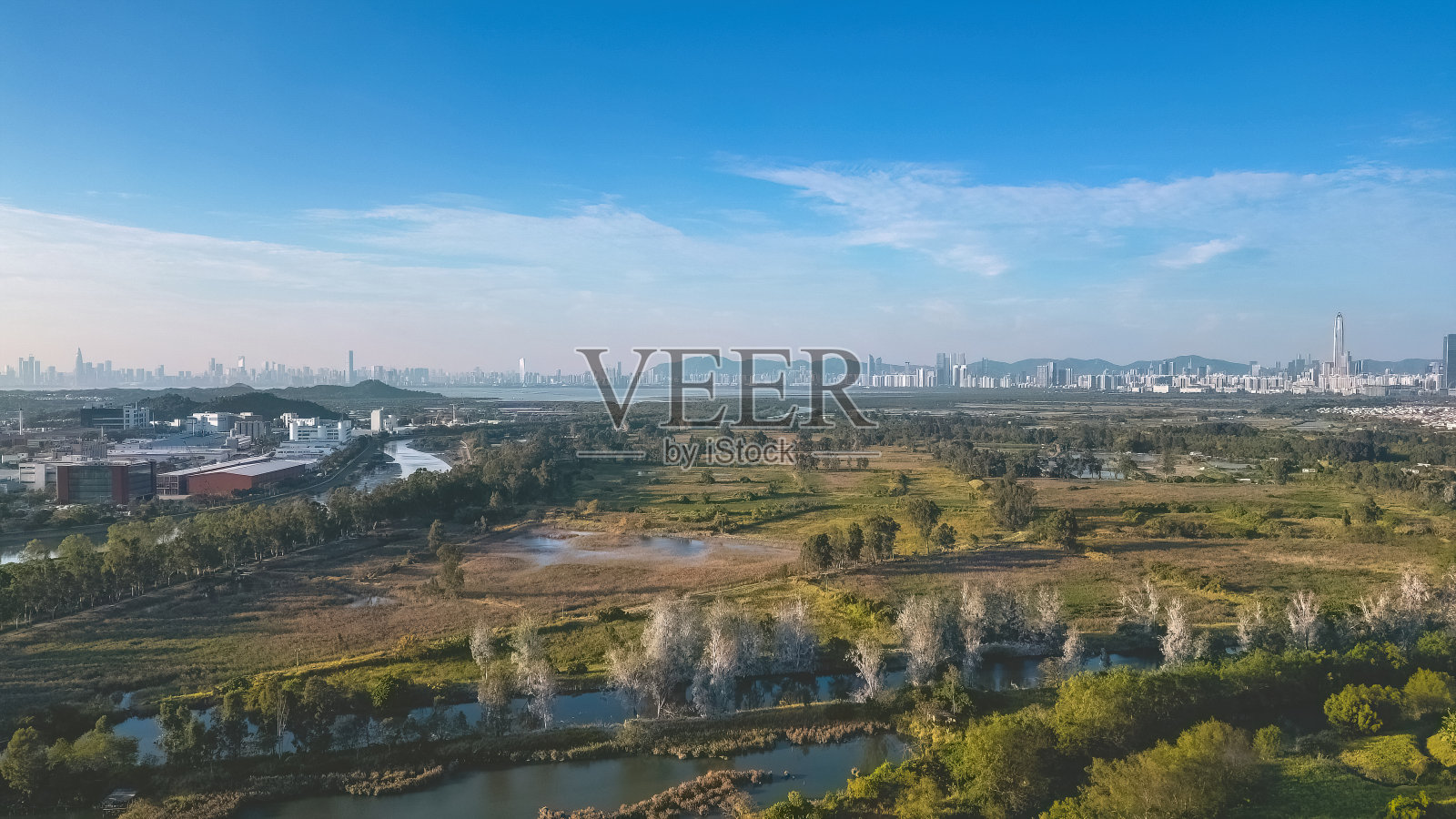 2023年1月6日香港南生围山背鱼塘照片摄影图片