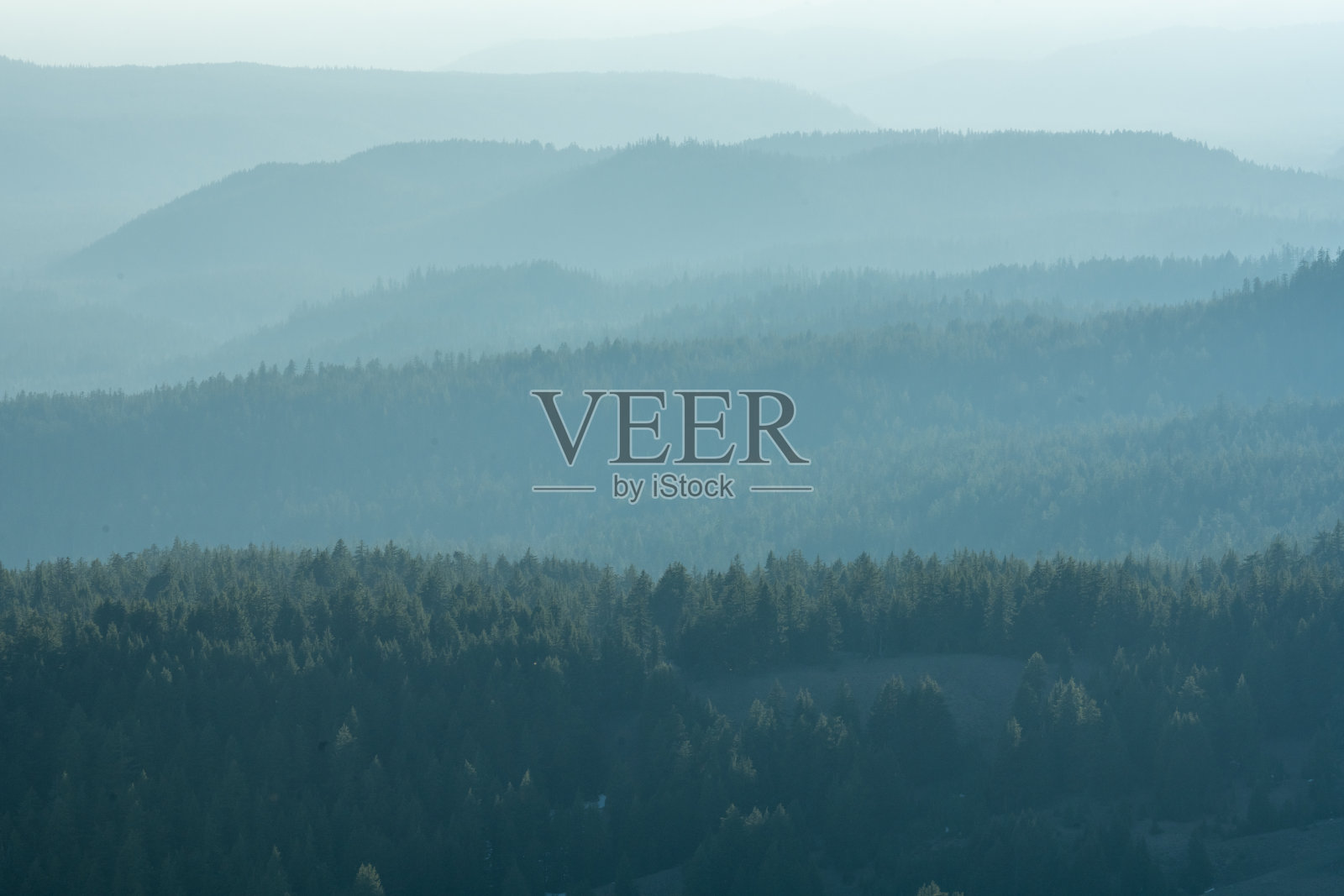 俄勒冈州偏远地区的森林烟雾层照片摄影图片