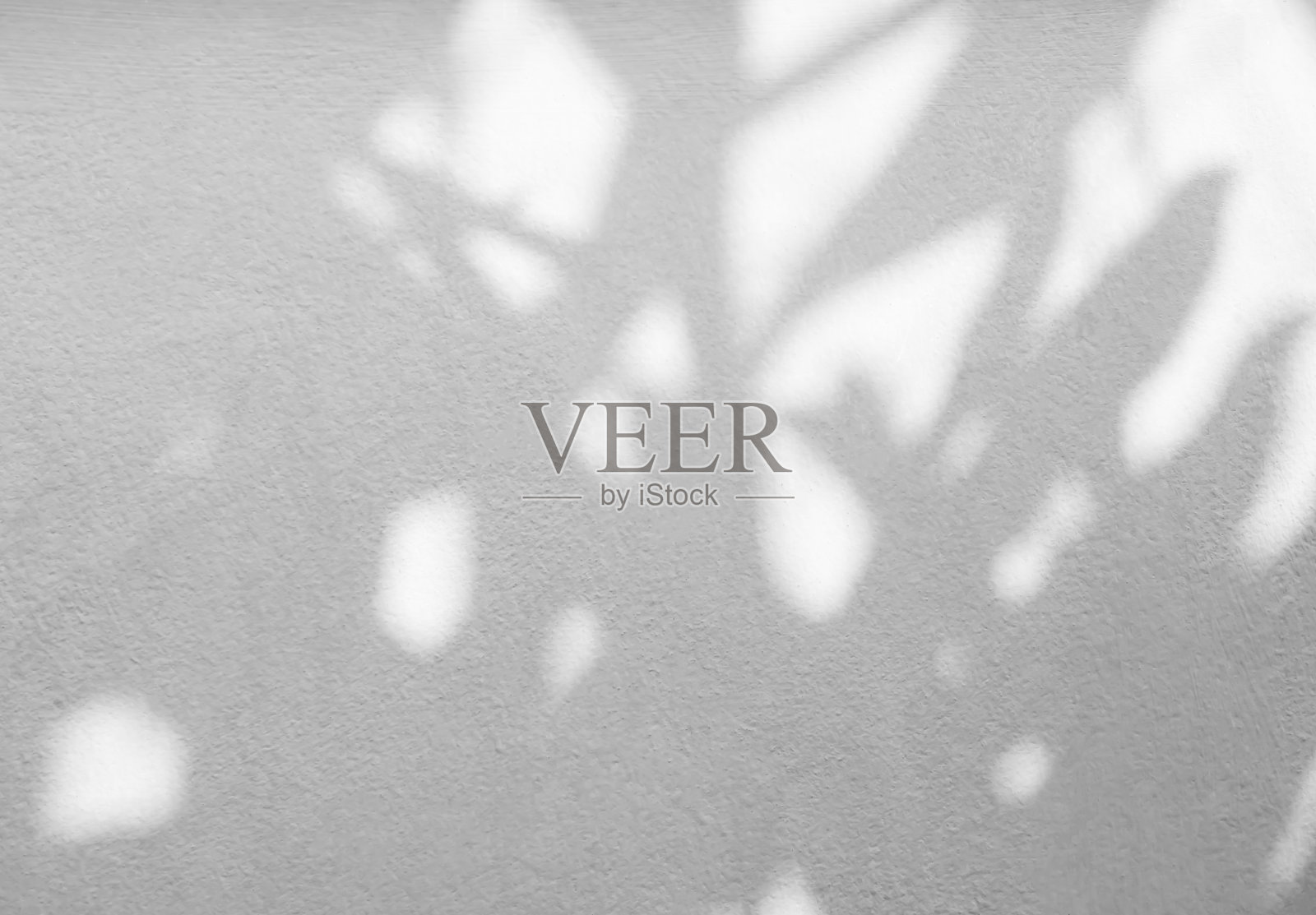 阴影泉水在墙壁背景上，抽象叠加阴凉柔软的外部树叶树，自然叠加从窗户建筑照片摄影图片