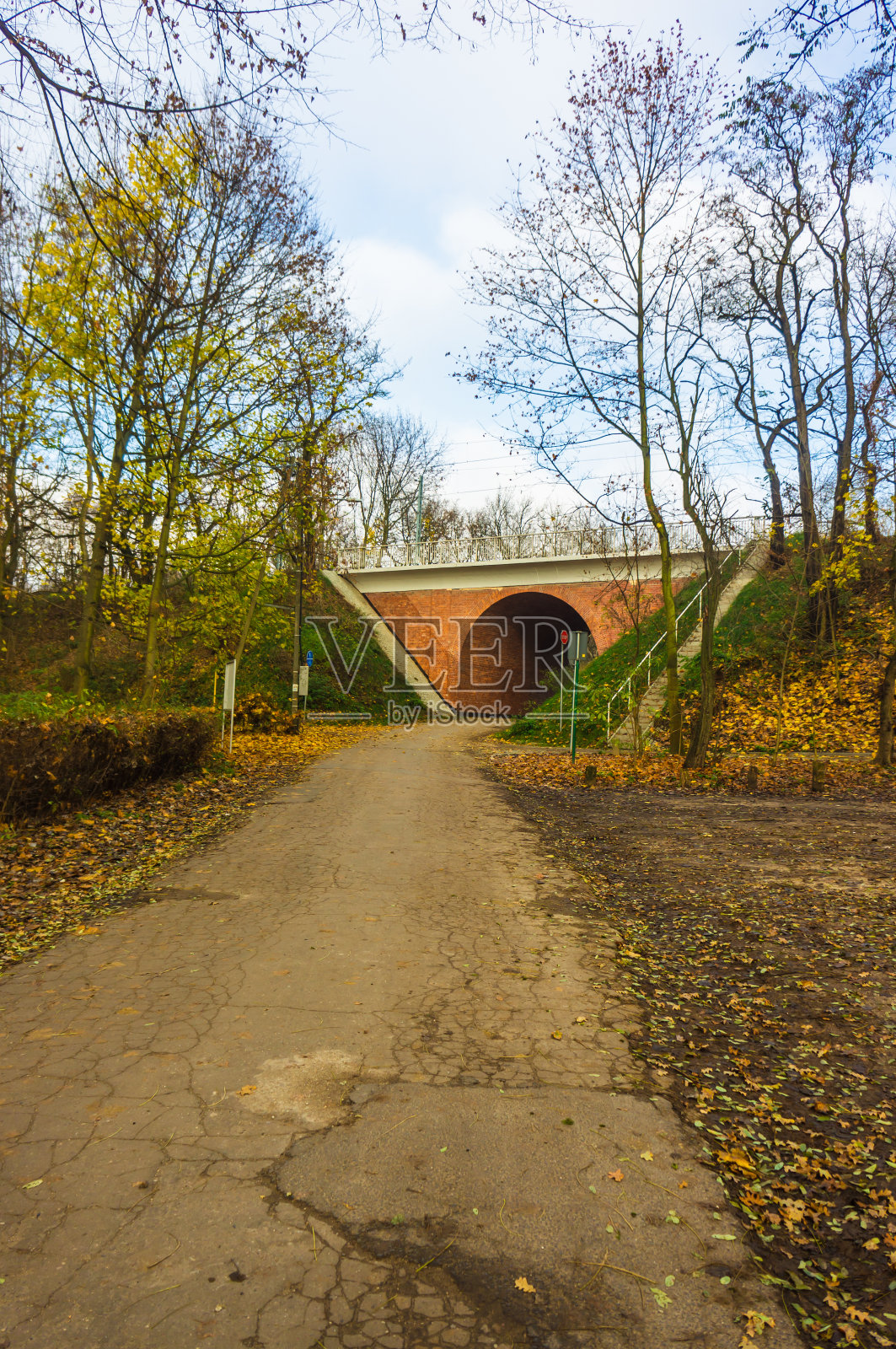 波兰波兹南德宾斯基森林秋天的隧道照片摄影图片