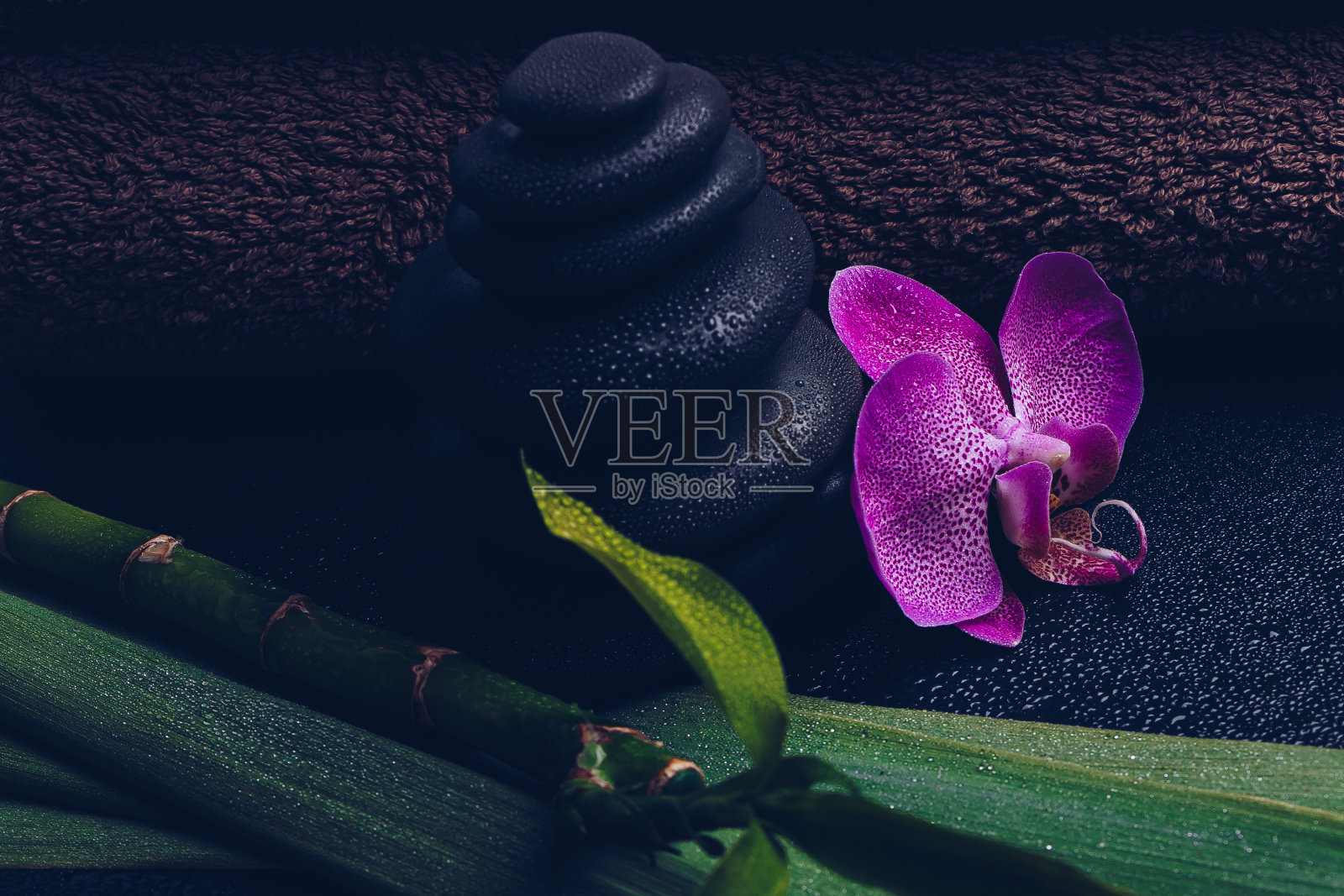 在水疗中心，禅宗岩石和粉红色兰花的特写镜头照片摄影图片