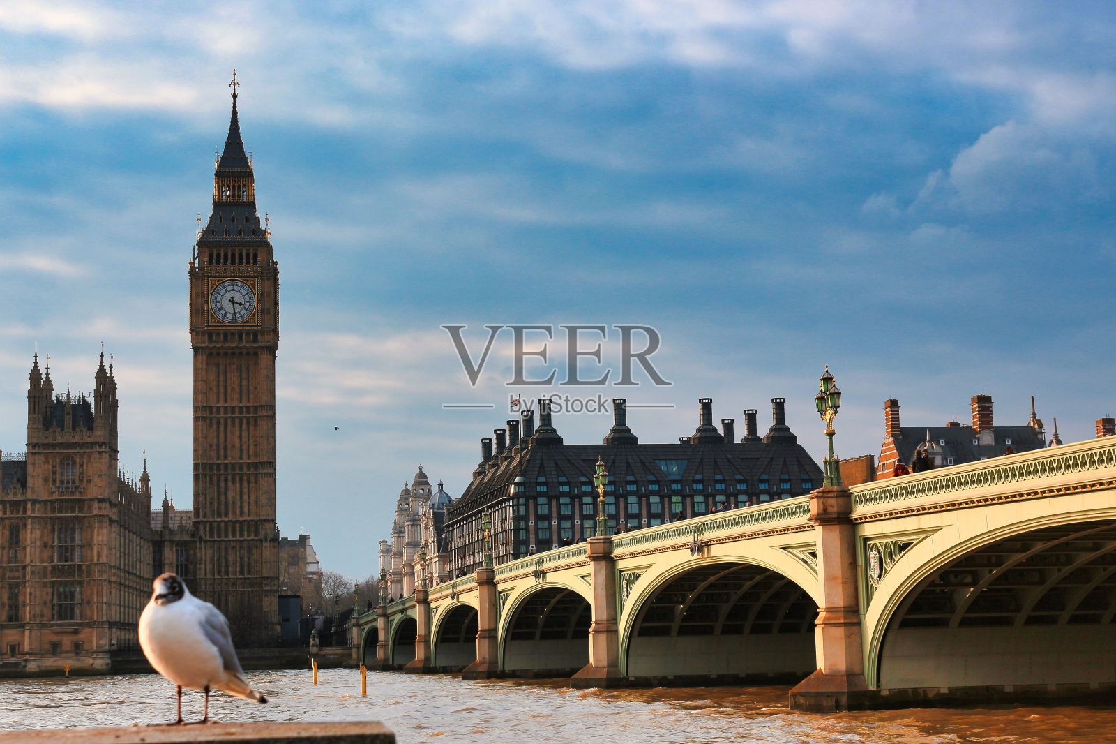 背景是大本钟和威斯敏斯特大桥的海鸥的惊人镜头照片摄影图片