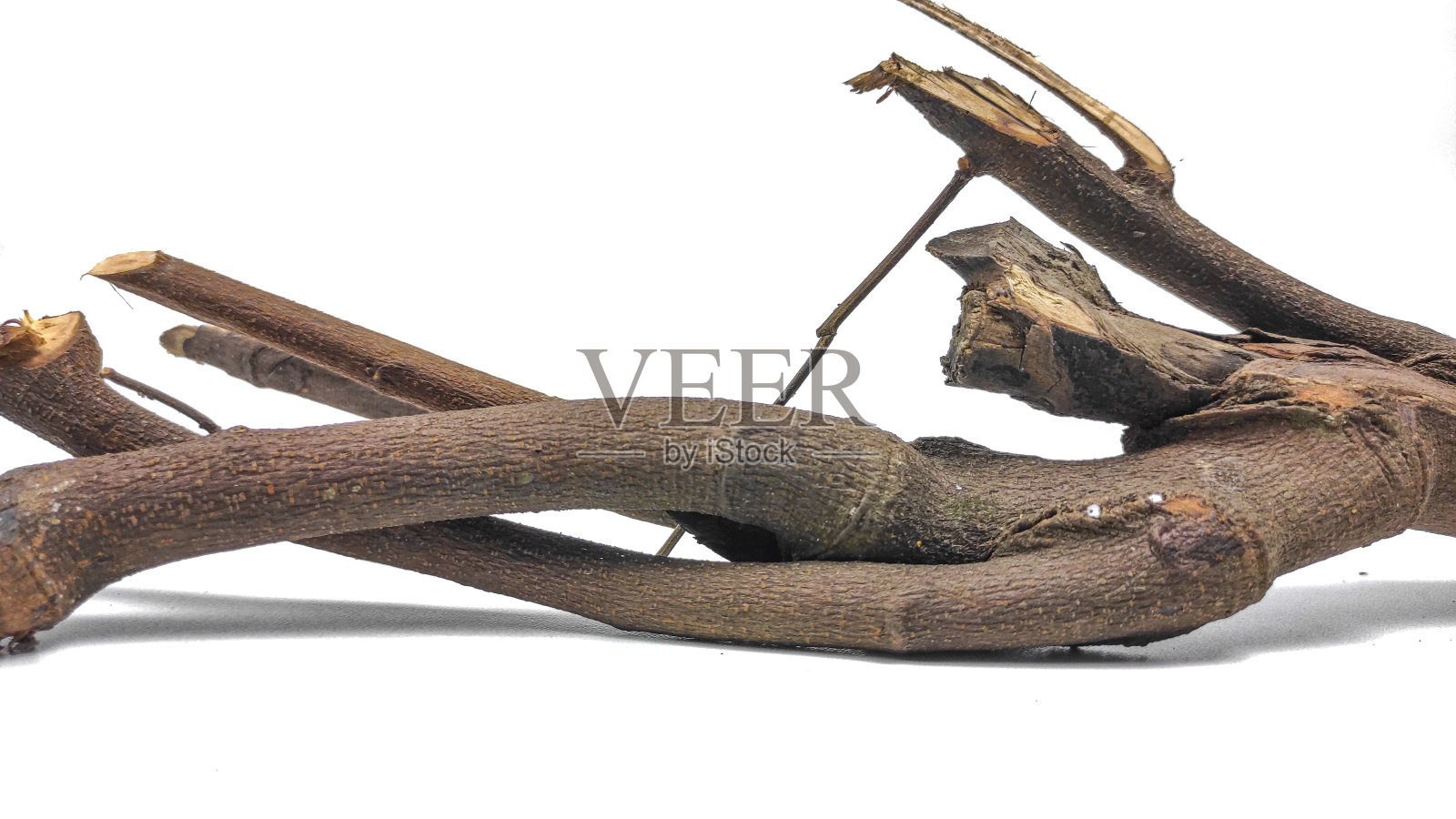 白色背景上的干树枝。干木棒从森林孤立中等大小照片摄影图片