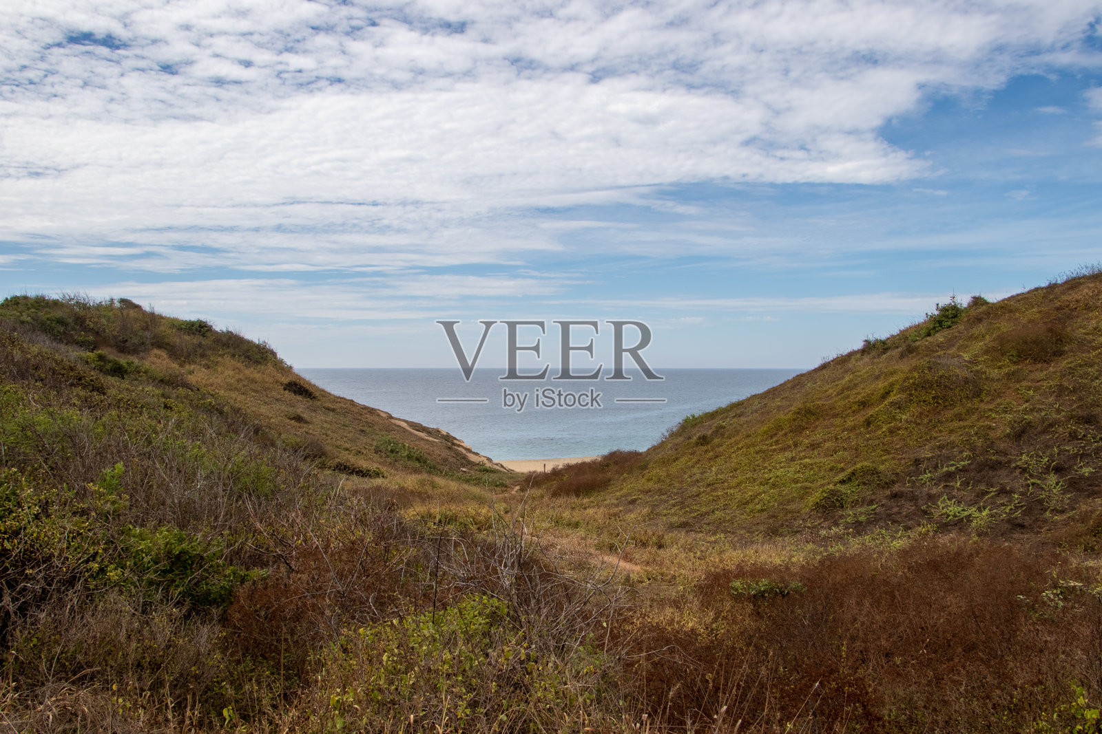 阴天里迷人的山景照片摄影图片