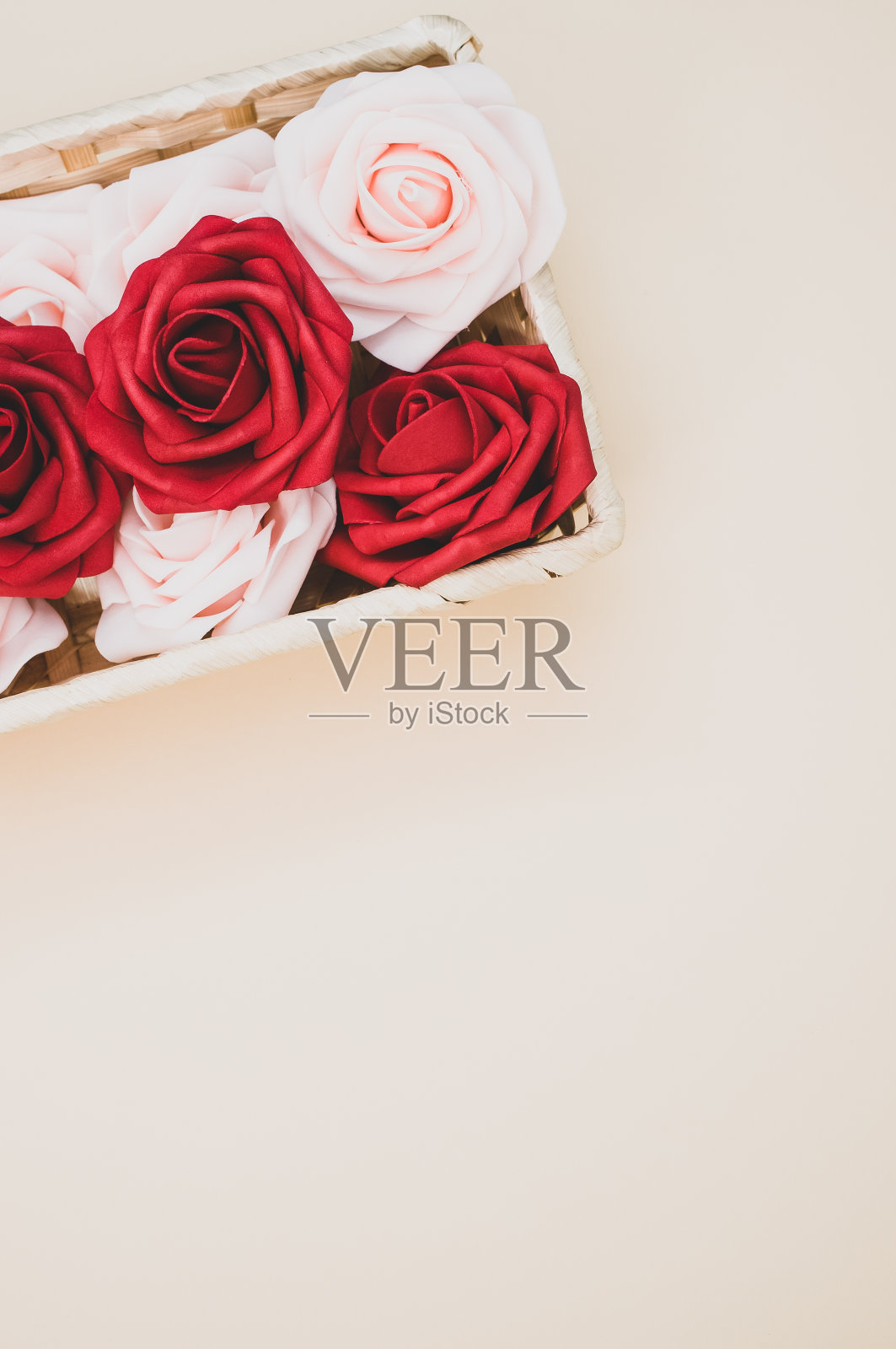 垂直拍摄的美丽的红色和白色玫瑰在一个盒子孤立的米色背景照片摄影图片