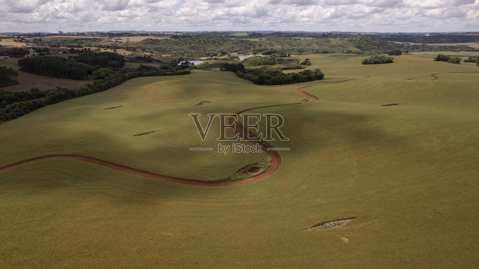 燕麦田的鸟瞰图照片摄影图片
