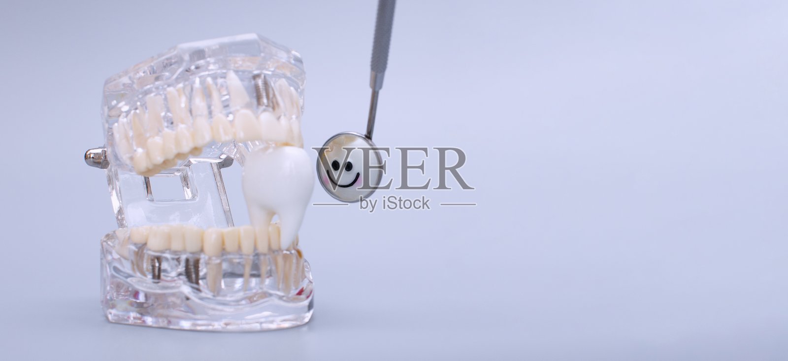 牙科护理概念中的模型牙科工具。照片摄影图片