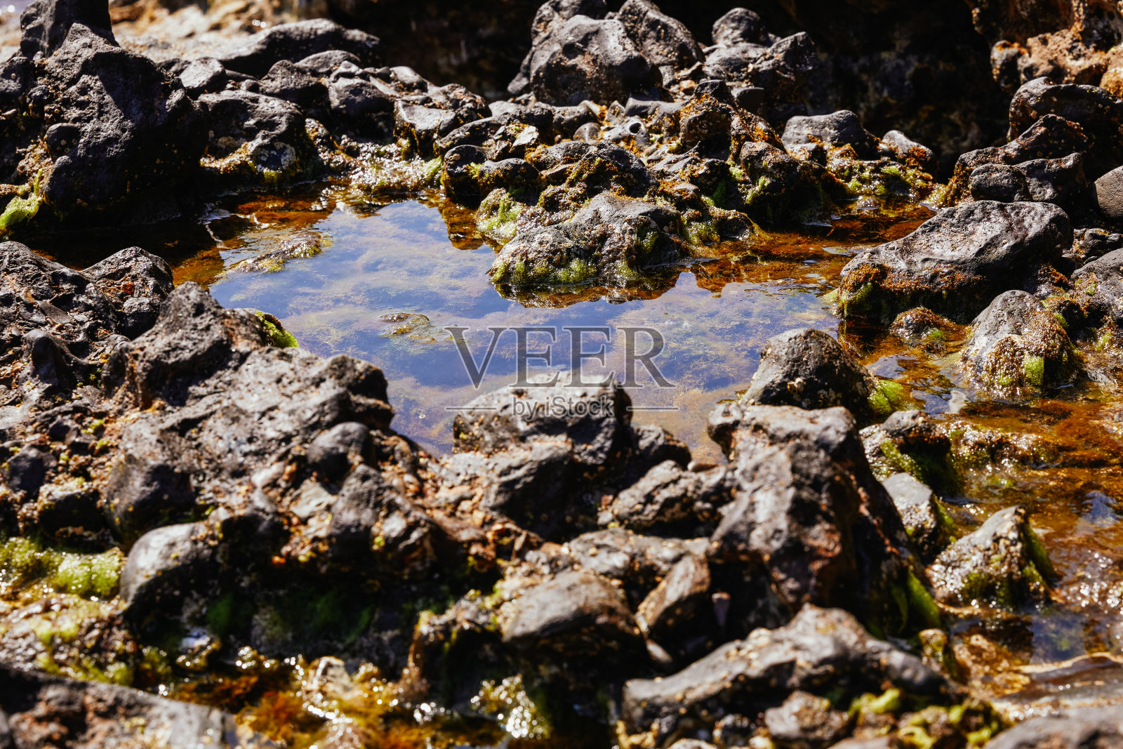 加那利群岛的沙滩和火山景观，还有洞穴照片摄影图片
