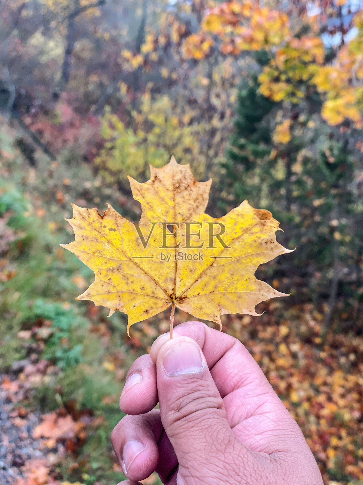 挪威照片摄影图片