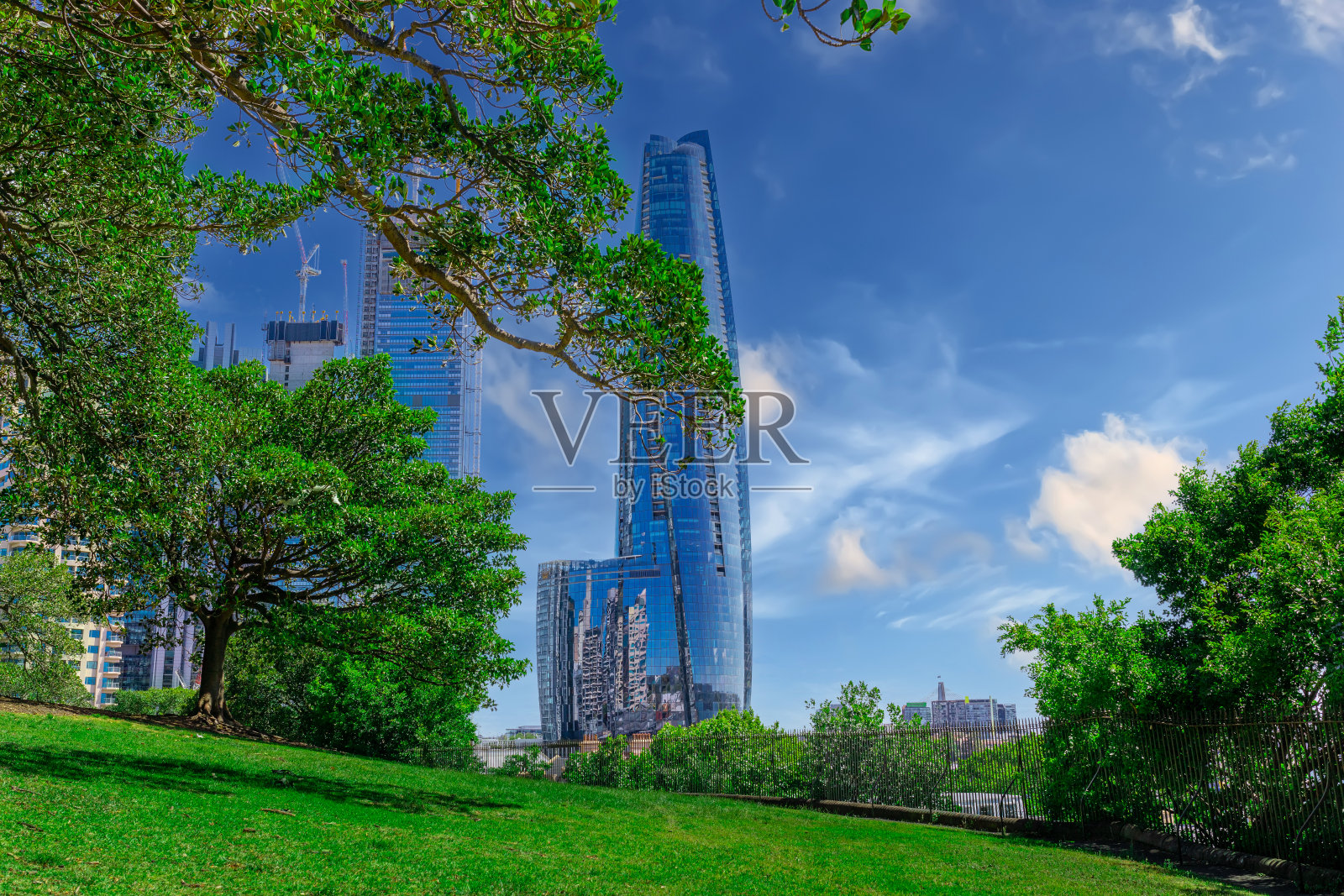 一览悉尼港、达令港和澳大利亚巴兰加鲁的城市天际线照片摄影图片