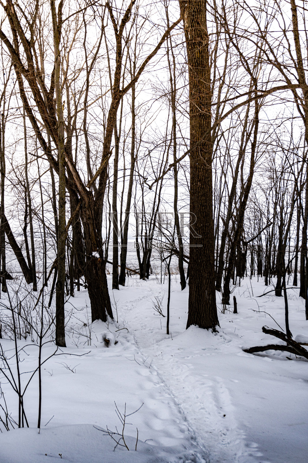 冬河步道照片摄影图片