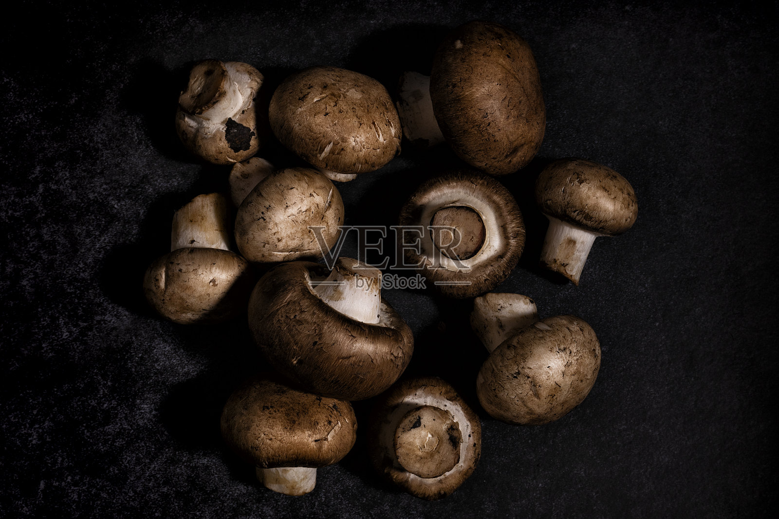 有机蘑菇在黑色背景照片摄影图片