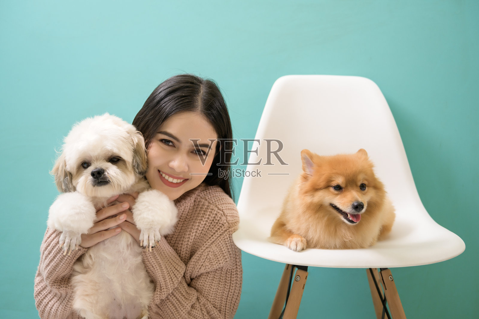 年轻美丽的女子亲吻和拥抱她的狗在绿色背景的肖像。照片摄影图片