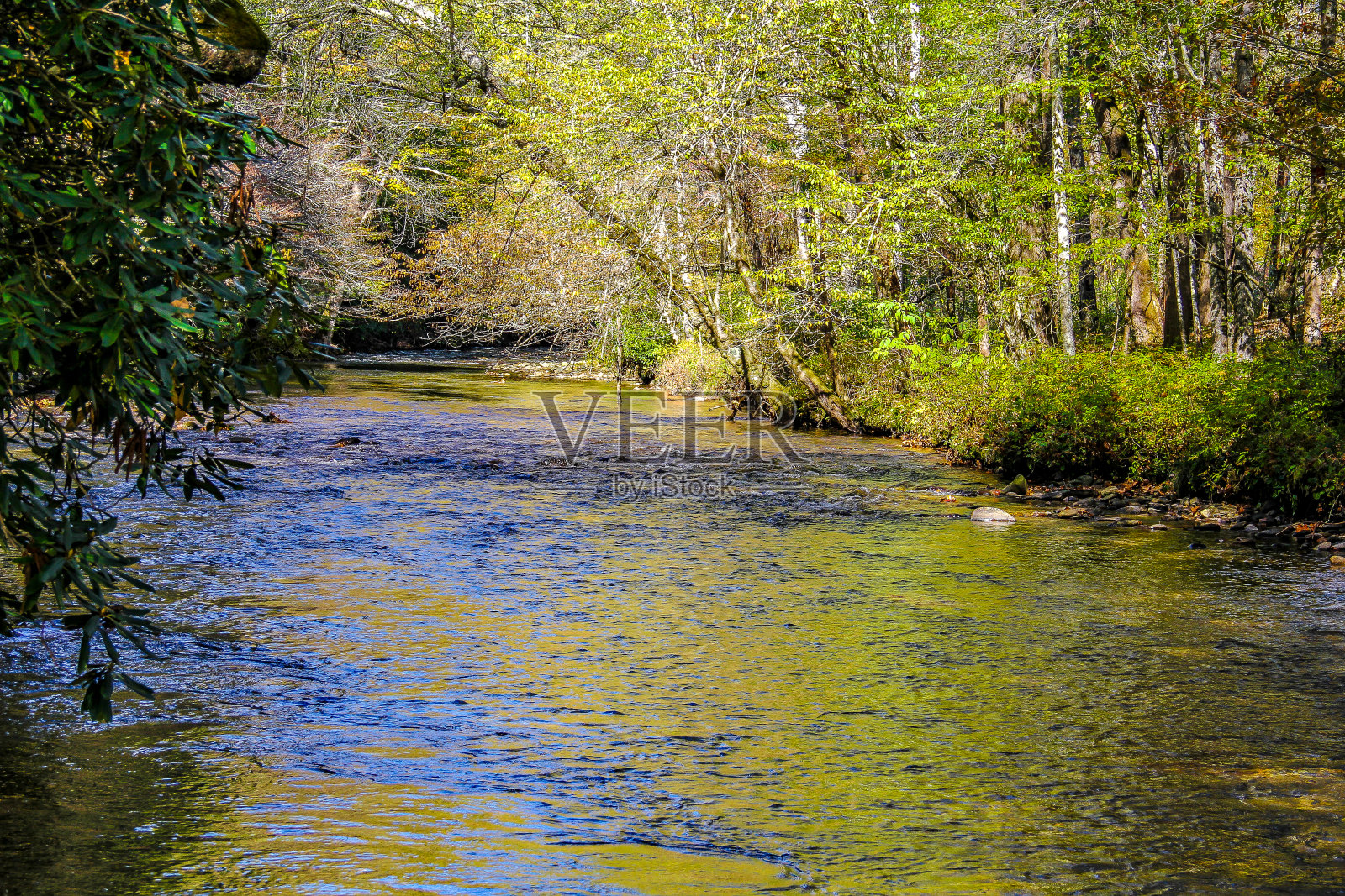 河畔照片摄影图片