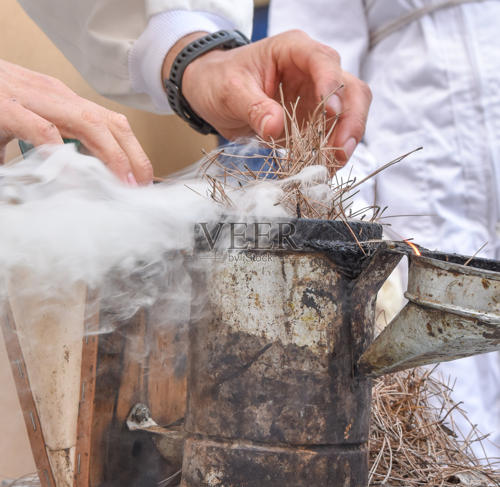 养蜂人用手准备吸蜂机进入养蜂场。照片摄影图片
