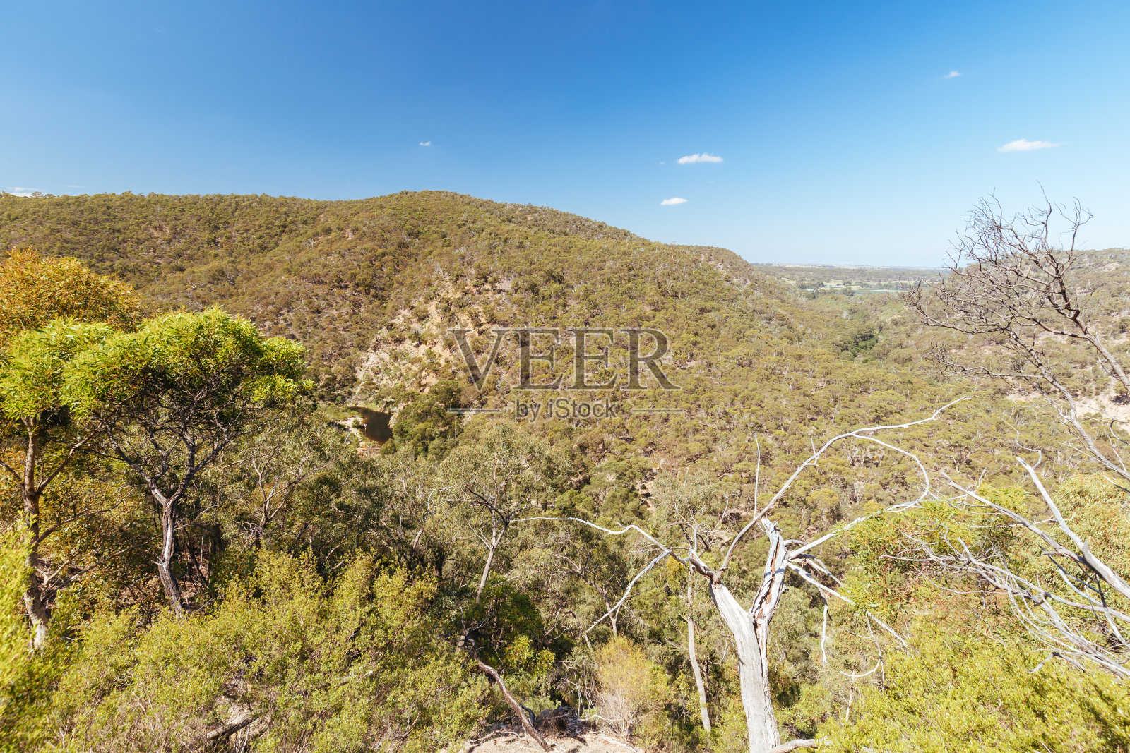 澳大利亚墨尔本的Lerderderg Gorge Circuit Walk照片摄影图片