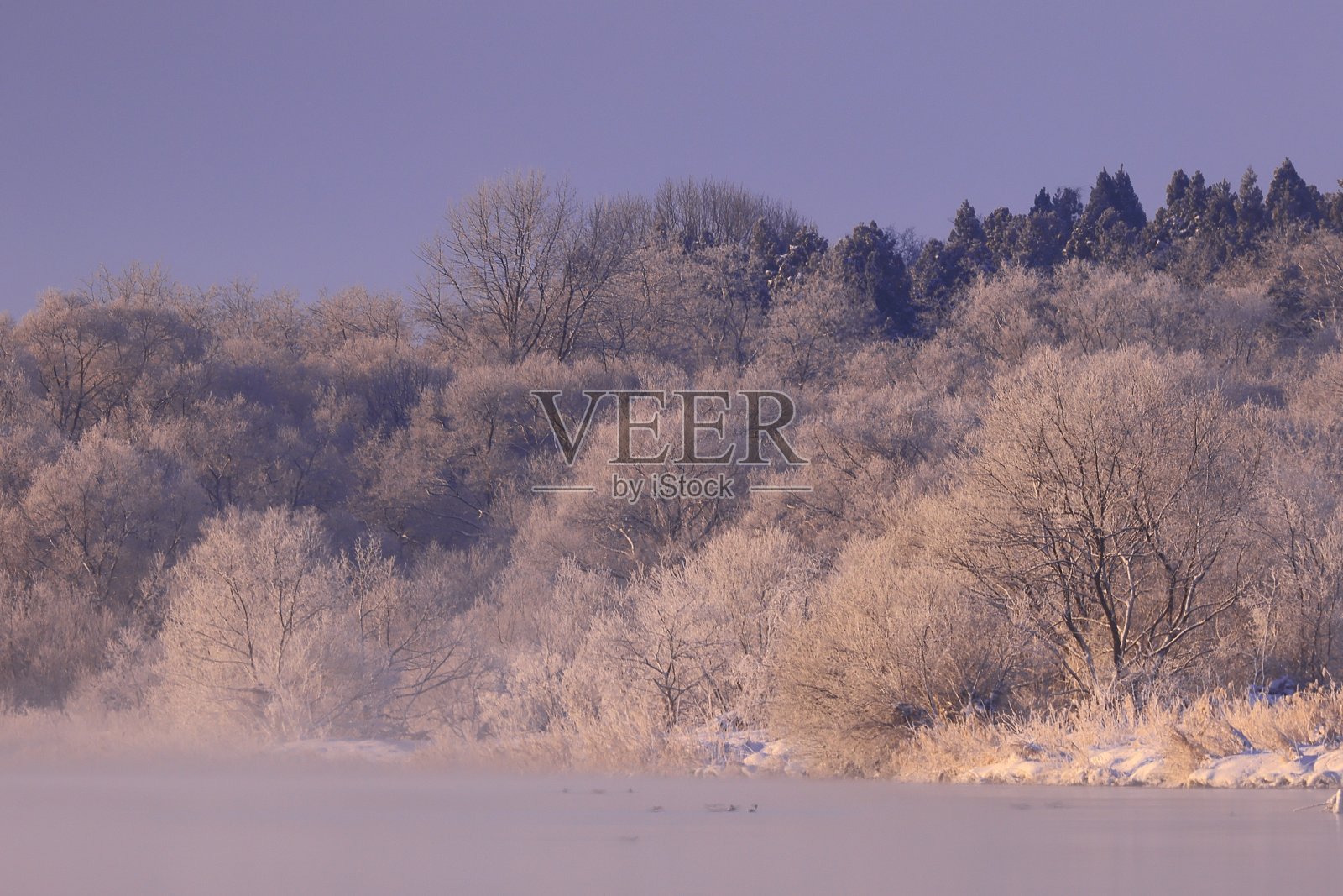 日出冬景照片摄影图片