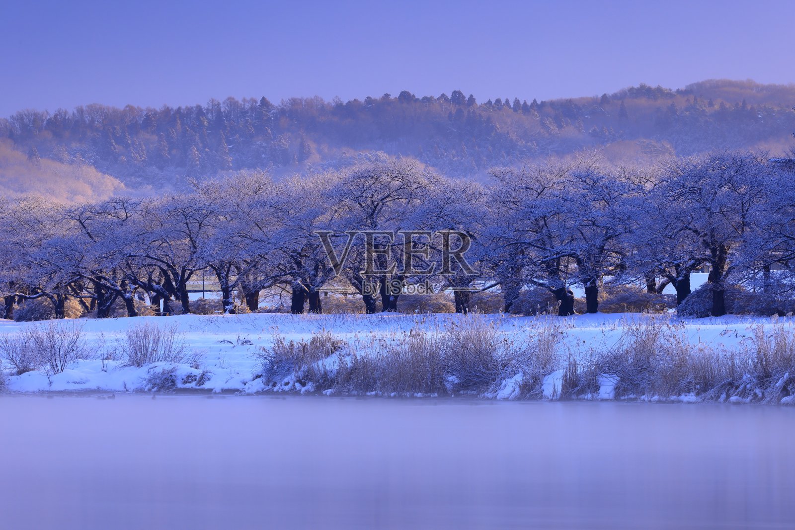 日出冬景照片摄影图片