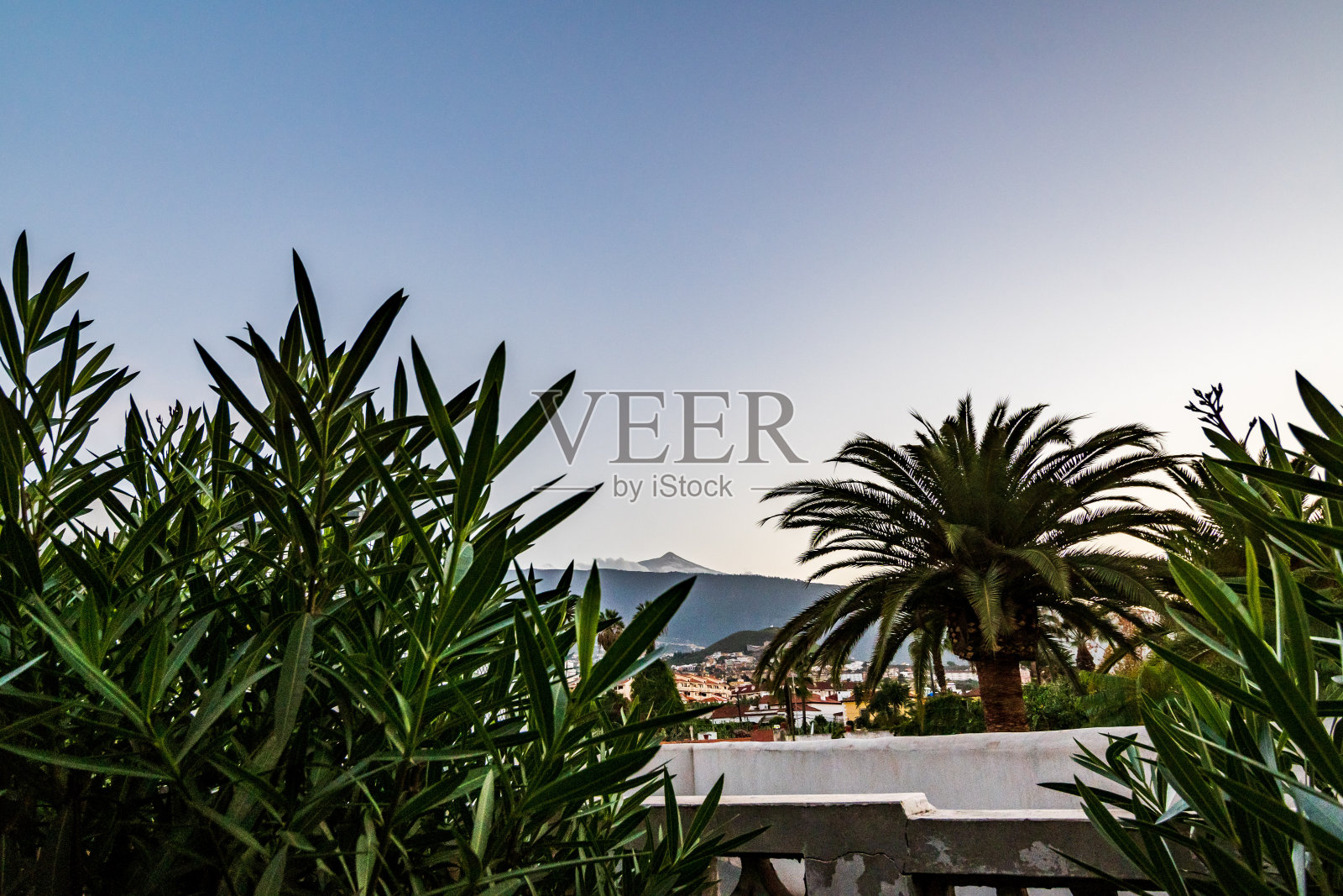 特内里费岛的Puerto de la Cruz市的景观。照片摄影图片