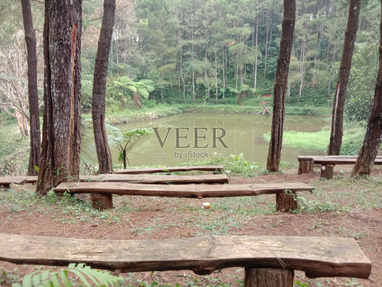 视图照片摄影图片