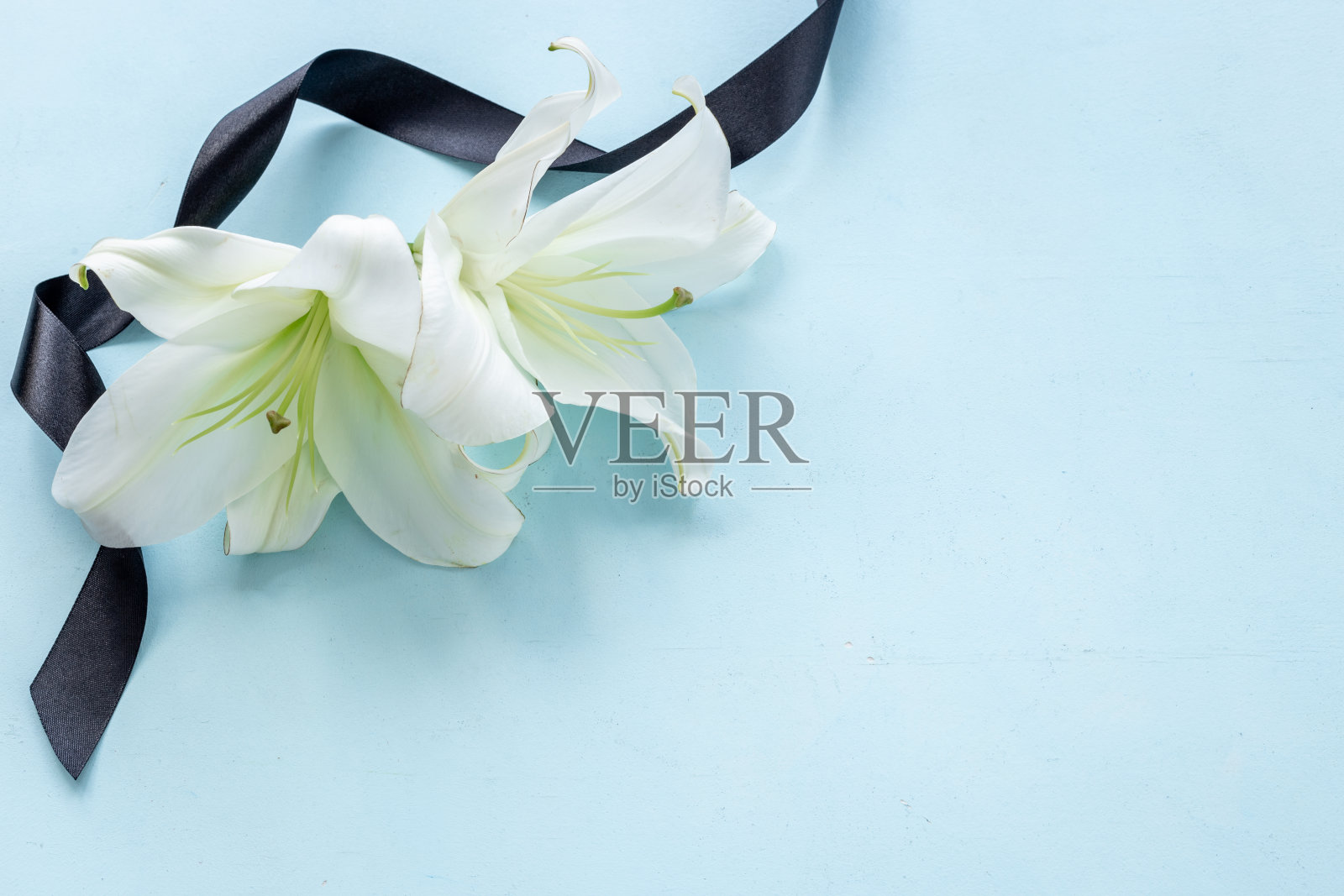 哀悼或葬礼概念与白色百合和黑色丝带照片摄影图片