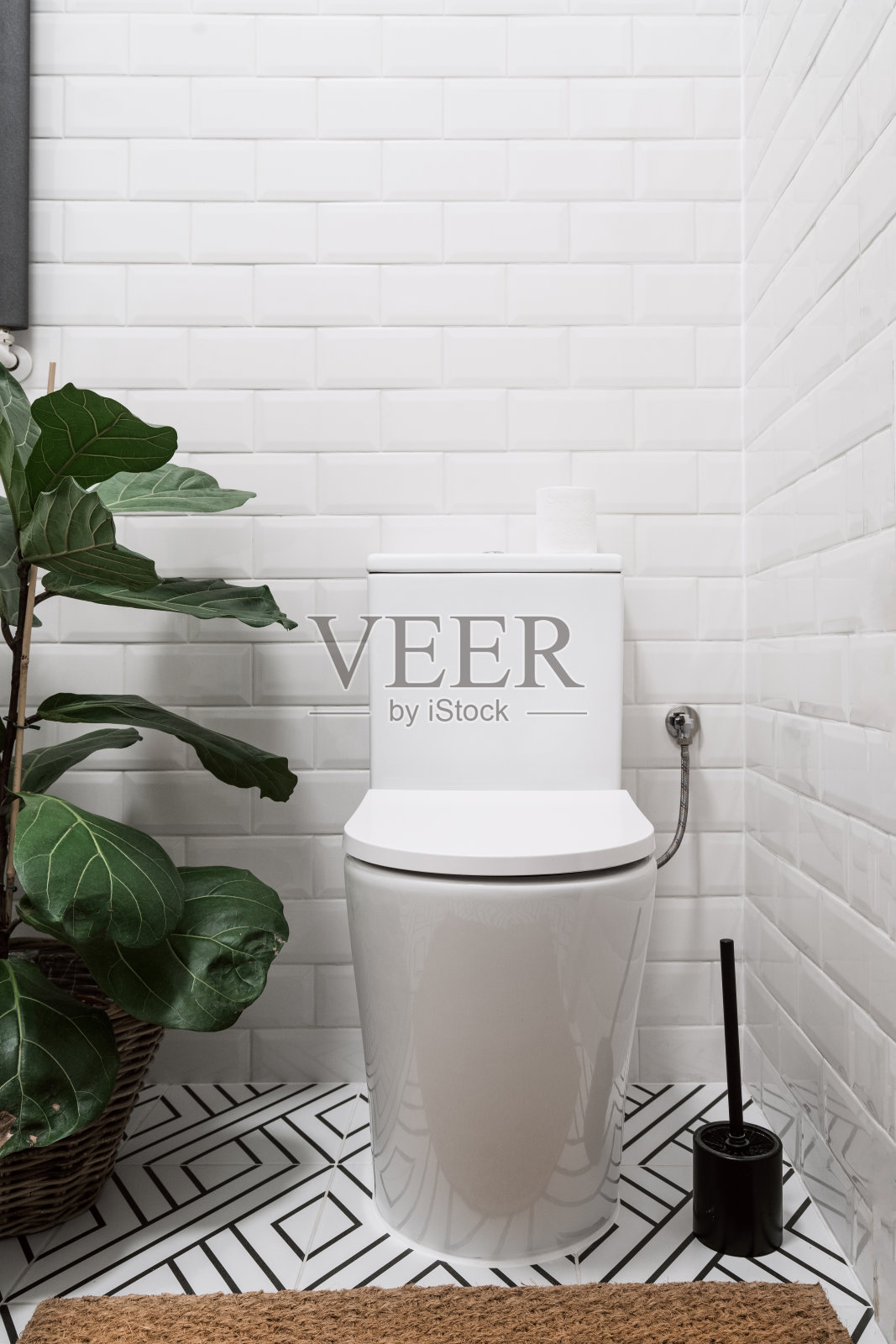 浴室采用陶瓷马桶和室内植物，墙面贴瓷砖照片摄影图片