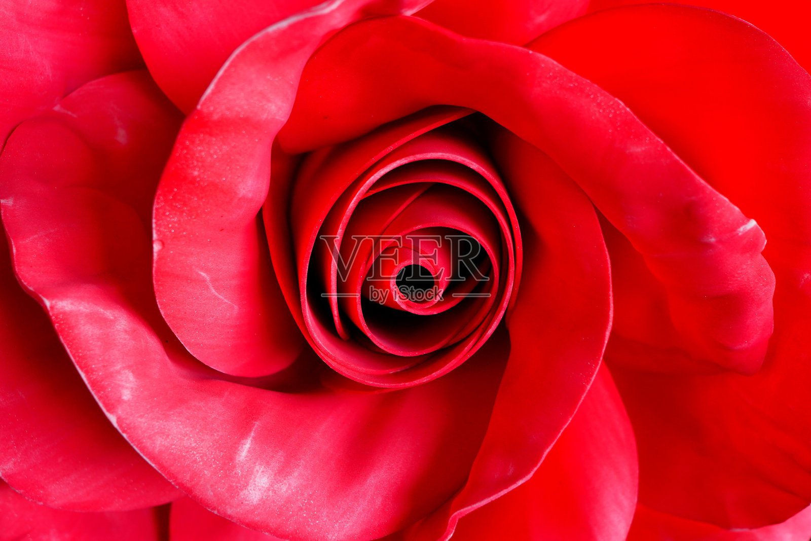 人造红玫瑰开花照片摄影图片