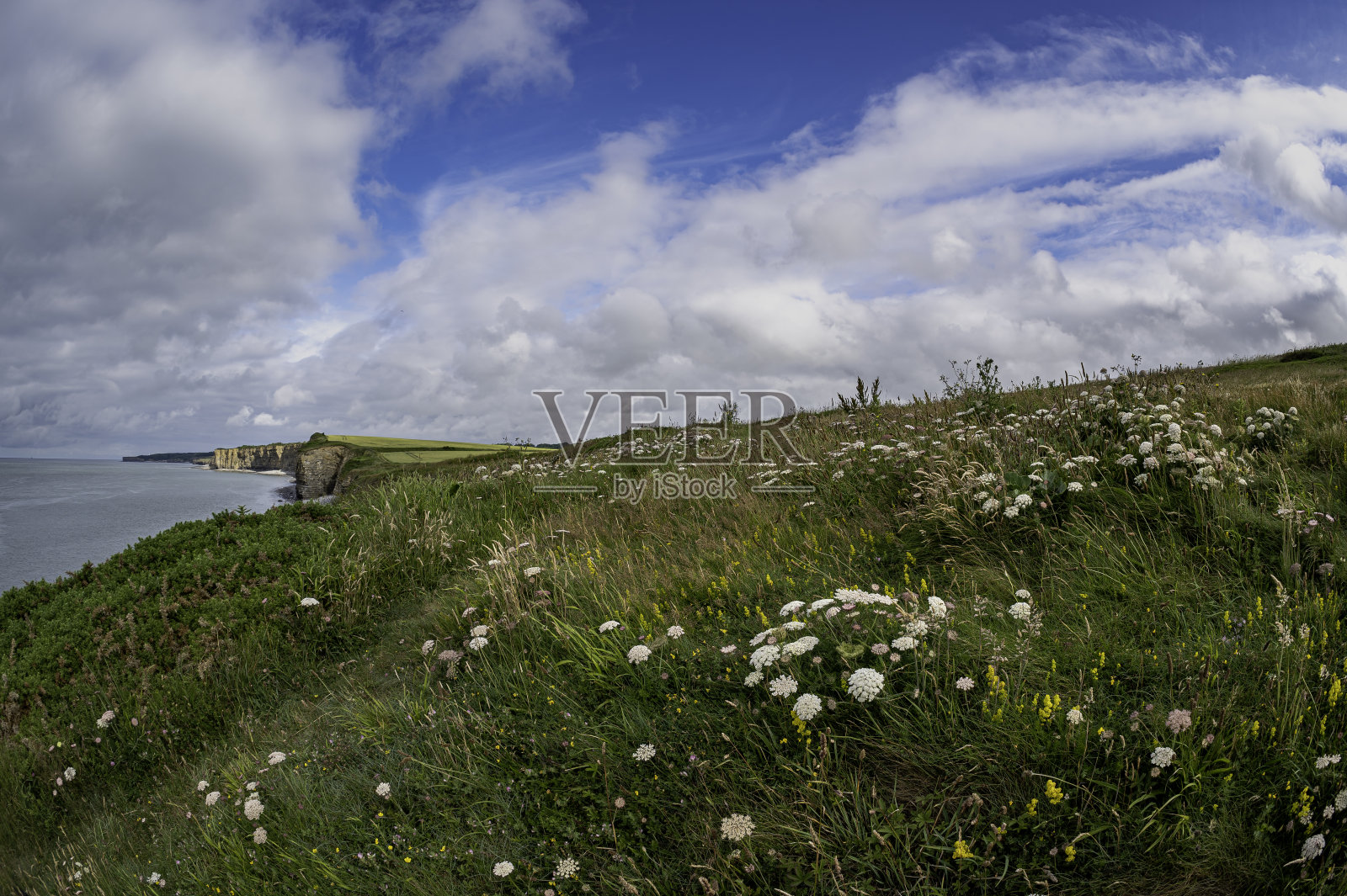 在蓝色多云的天空下，被水包围的悬崖被绿色植物覆盖的景观照片摄影图片