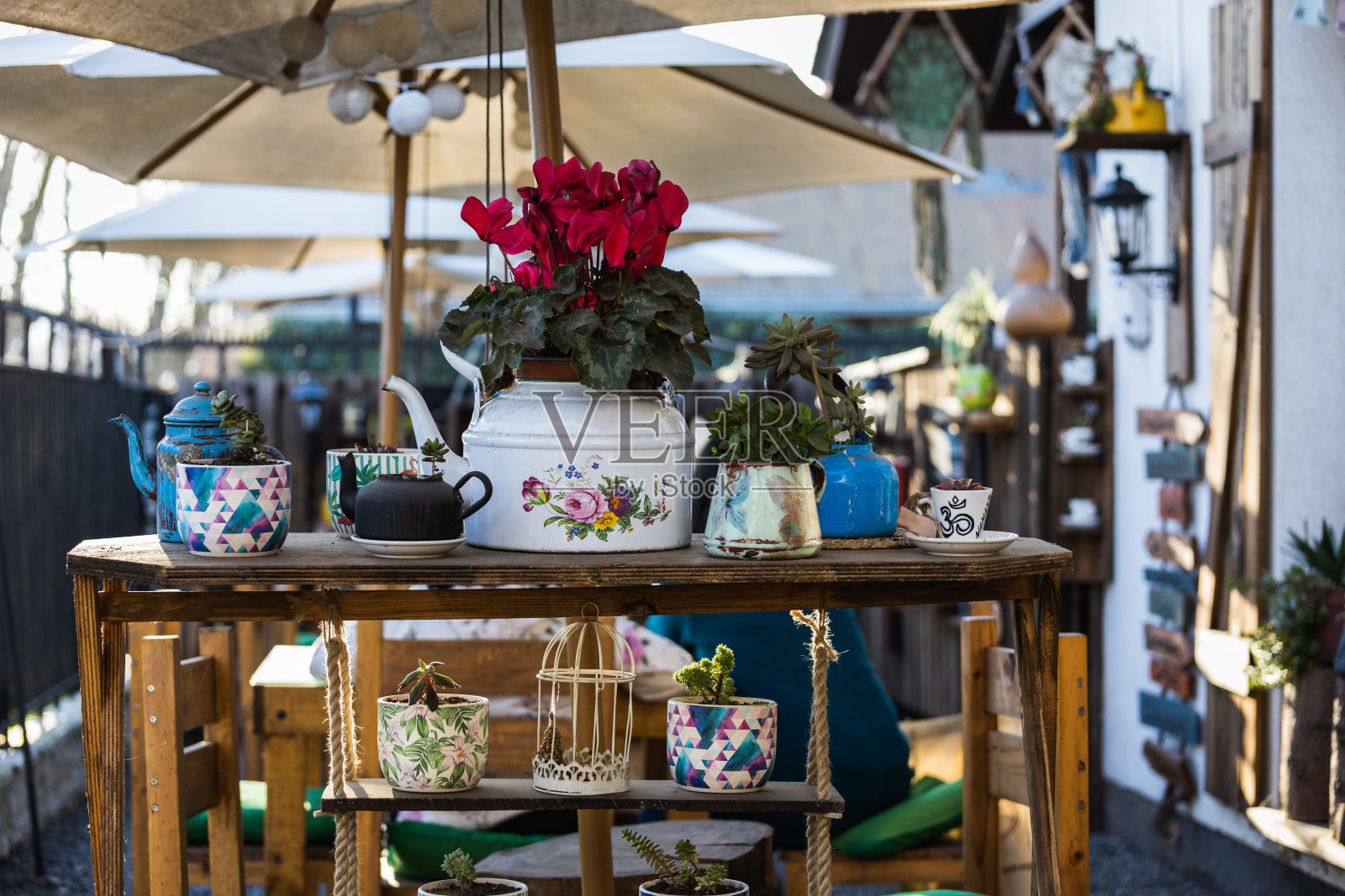 在木架子上的手工花盆中种植室内植物照片摄影图片