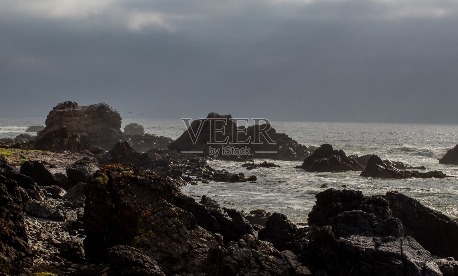 The d¿Life照片摄影图片