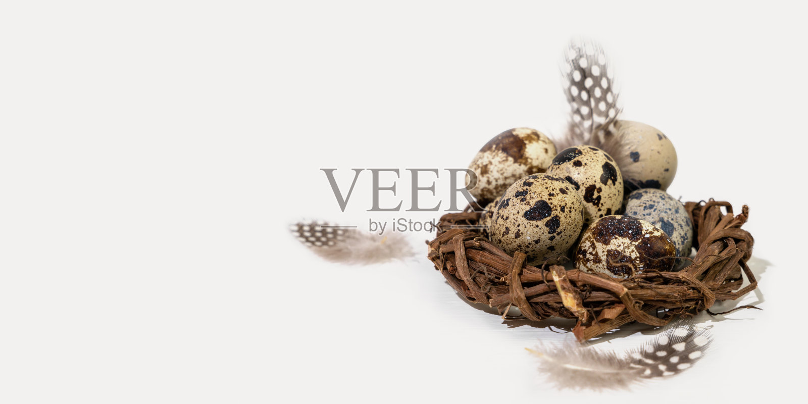 白色背景下的复活节彩蛋。复活节贺卡，有发短信的地方。鹌鹑蛋照片摄影图片