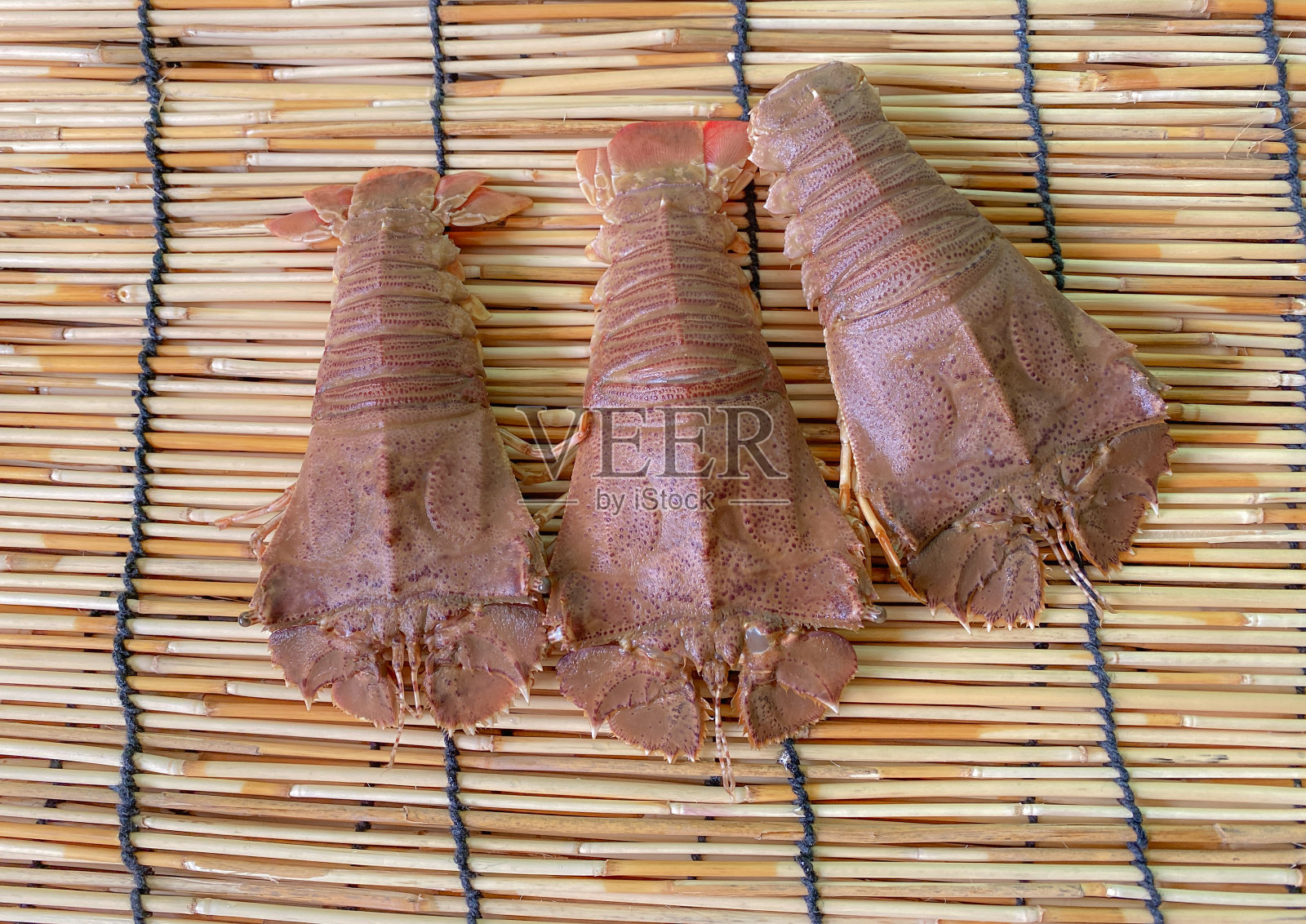 扁头龙虾，东方扁头龙虾，龙虾，龙虾，是一种非常美味的海鲜。能在热带国家的鱼市上找到吗照片摄影图片