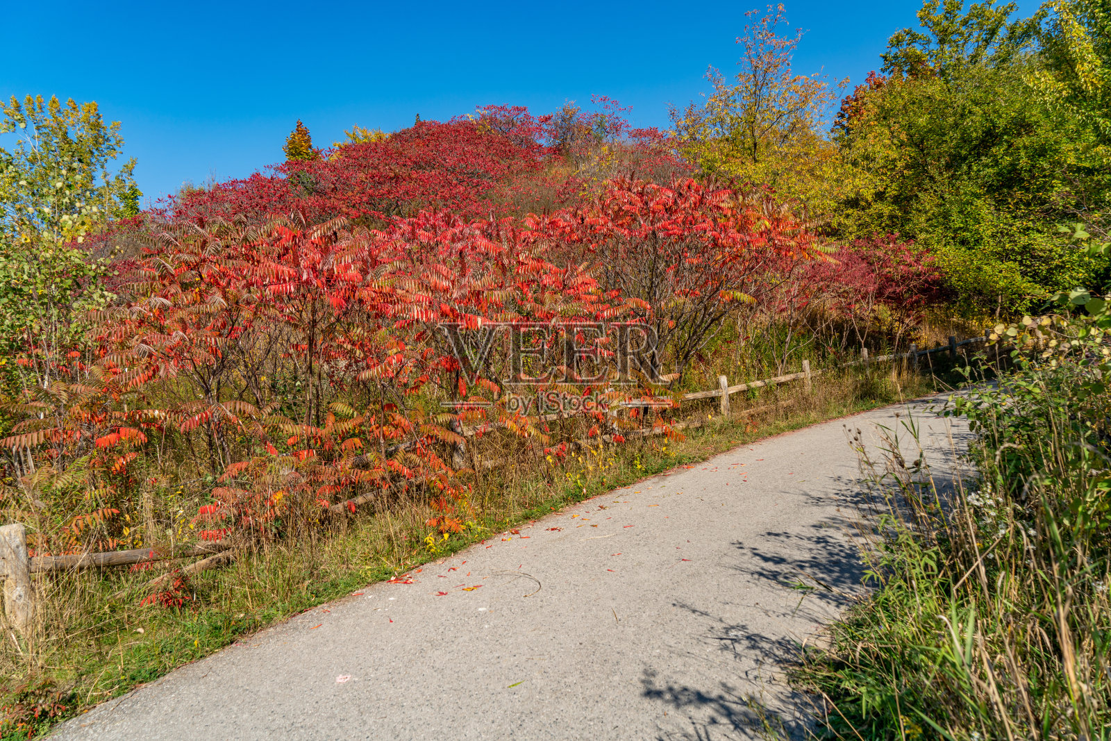 唐谷砖厂公园，多伦多，加拿大照片摄影图片