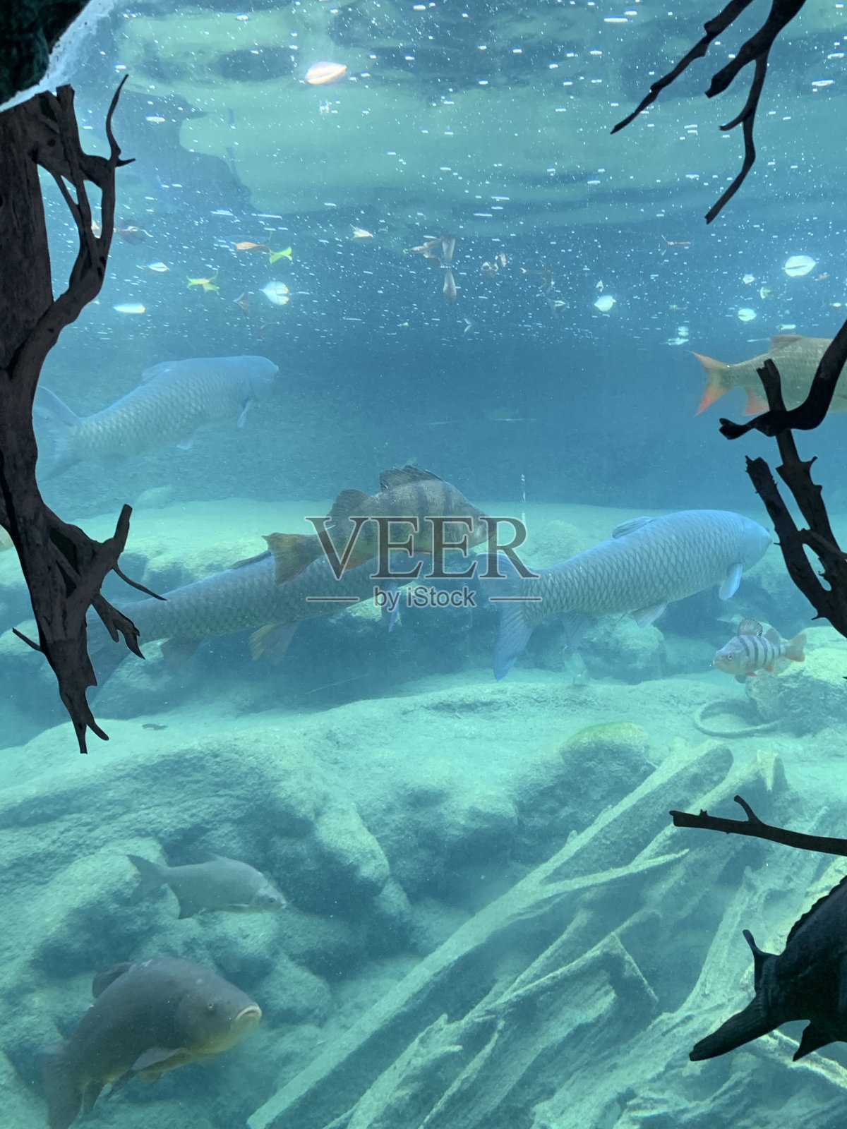 水下景观照片摄影图片