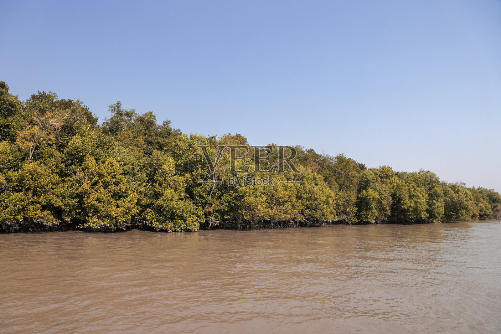 孙德尔本斯国家公园。照片摄影图片