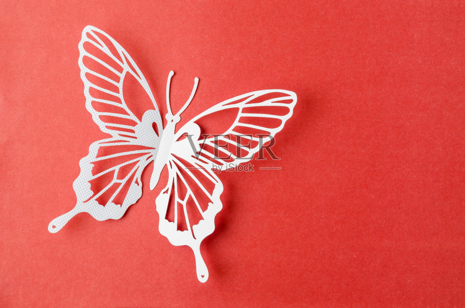 纸蝴蝶雕刻在一个红色的背景与空白。照片摄影图片
