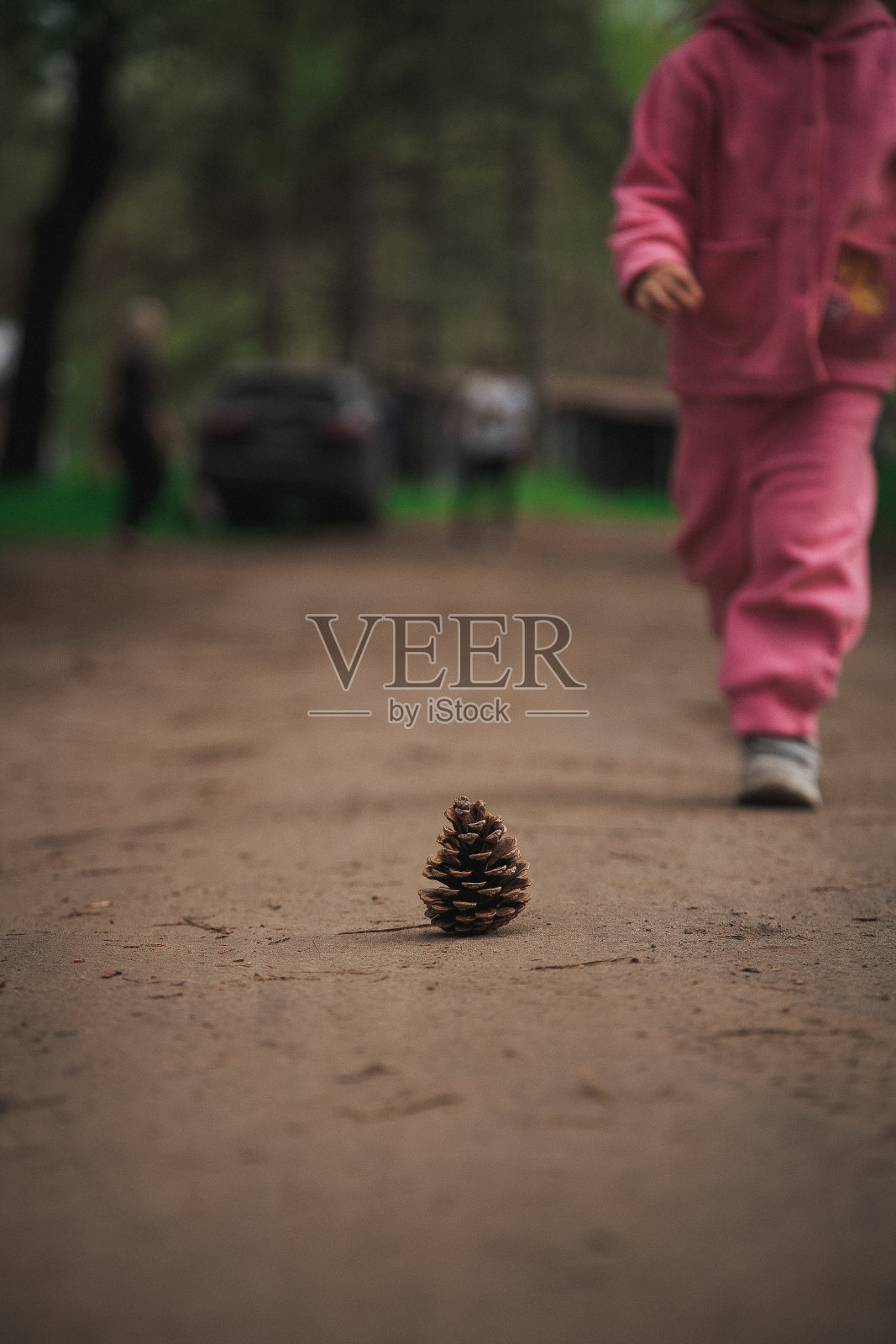 地上的一团东西。照片摄影图片