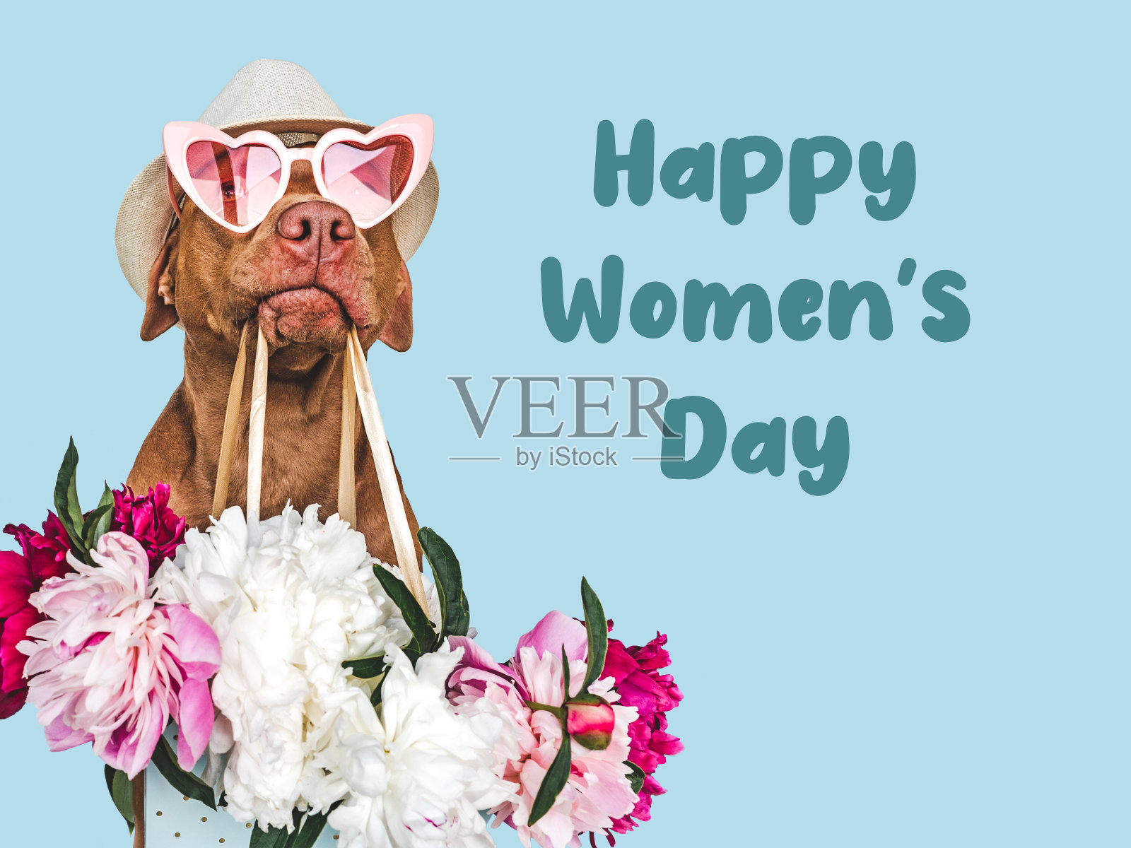 可爱的棕色小狗和一束花照片摄影图片