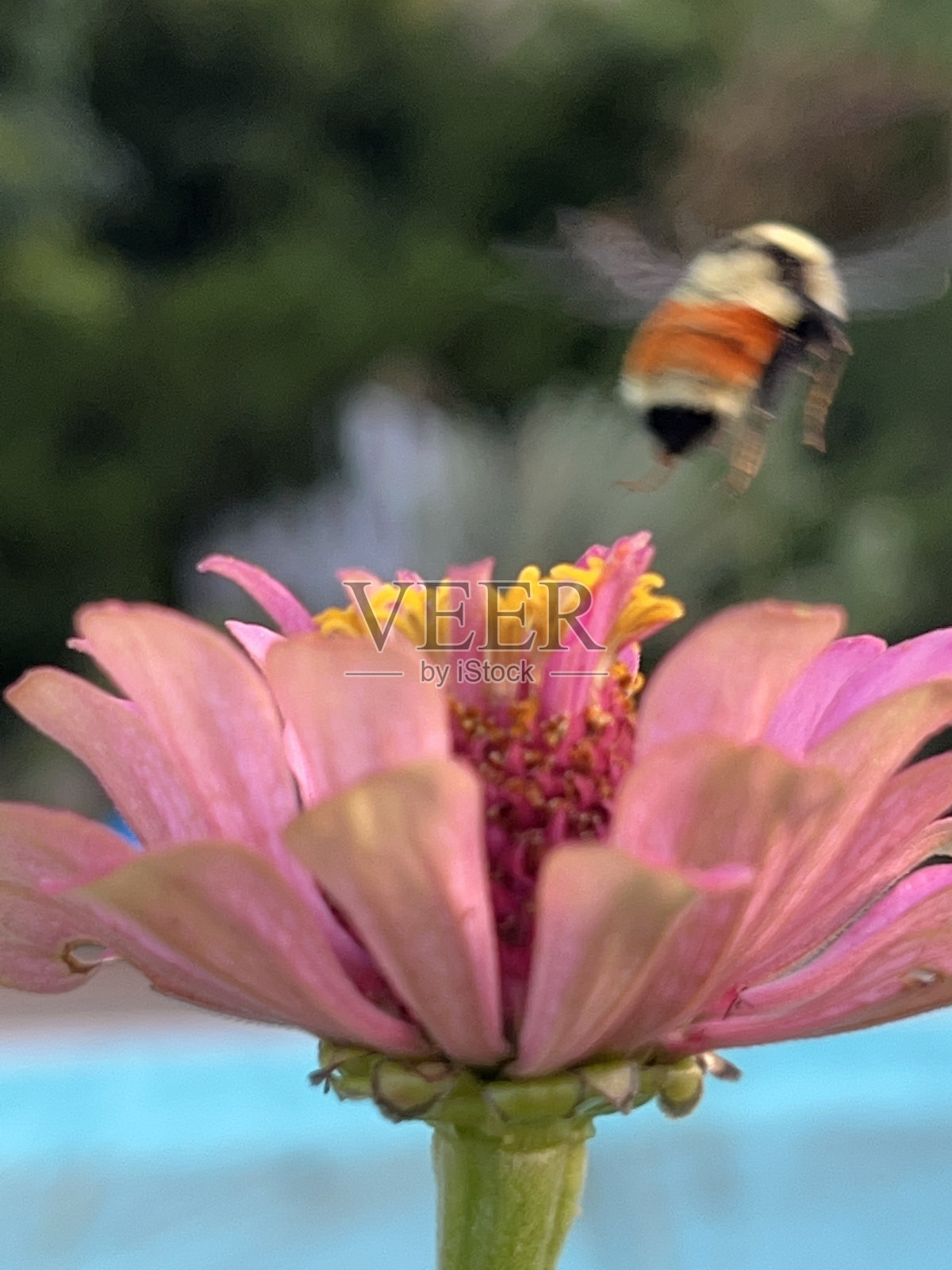 起飞照片摄影图片