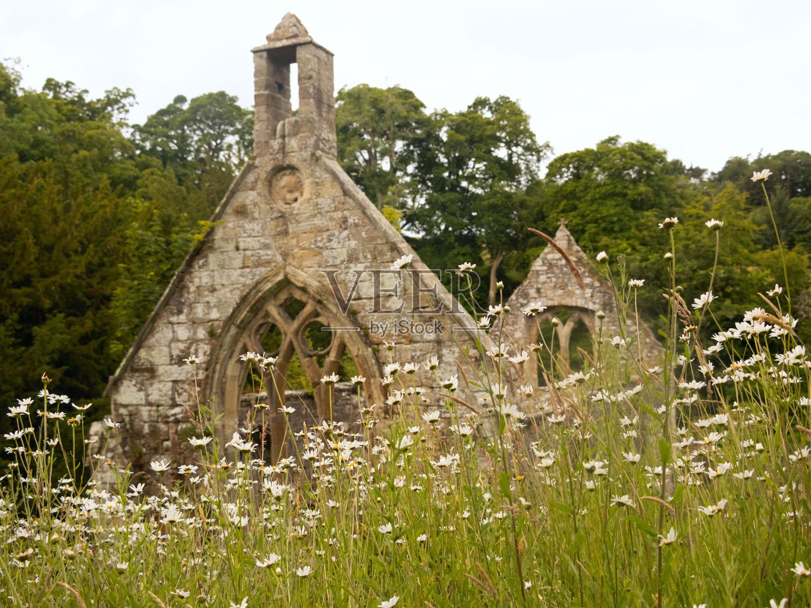 田野里的老寺庙教堂照片摄影图片