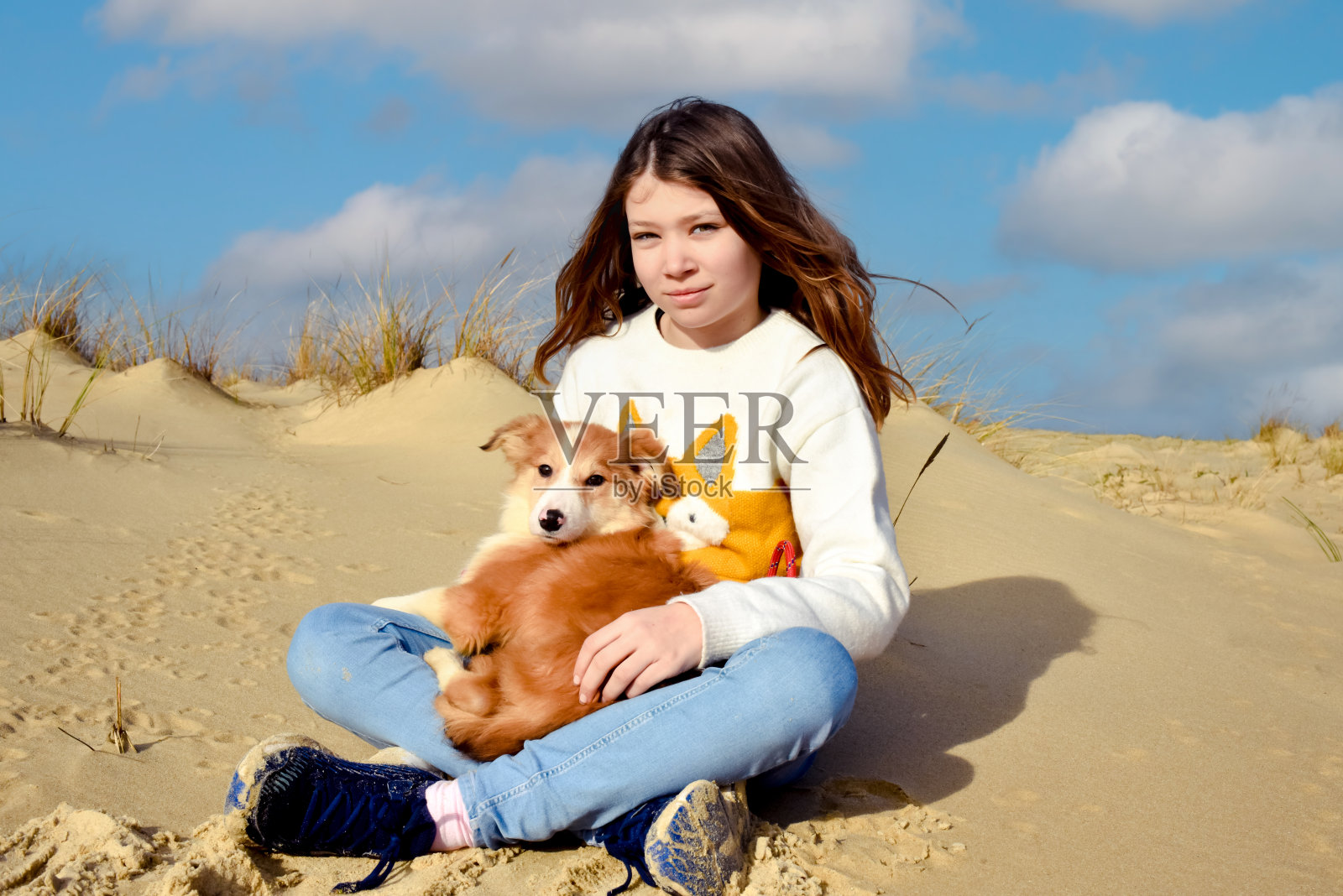 在法国西南部的海滩上，一个漂亮的年轻女孩抱着她的小边境牧羊犬照片摄影图片
