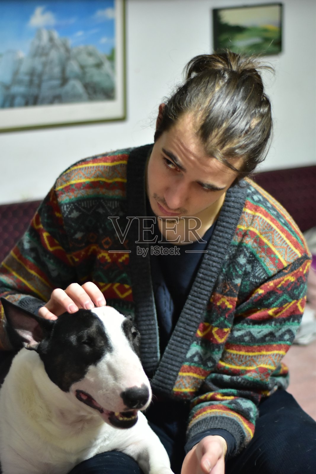 白种白人男子在房间里抱着一只黑白相间的斗牛梗照片摄影图片