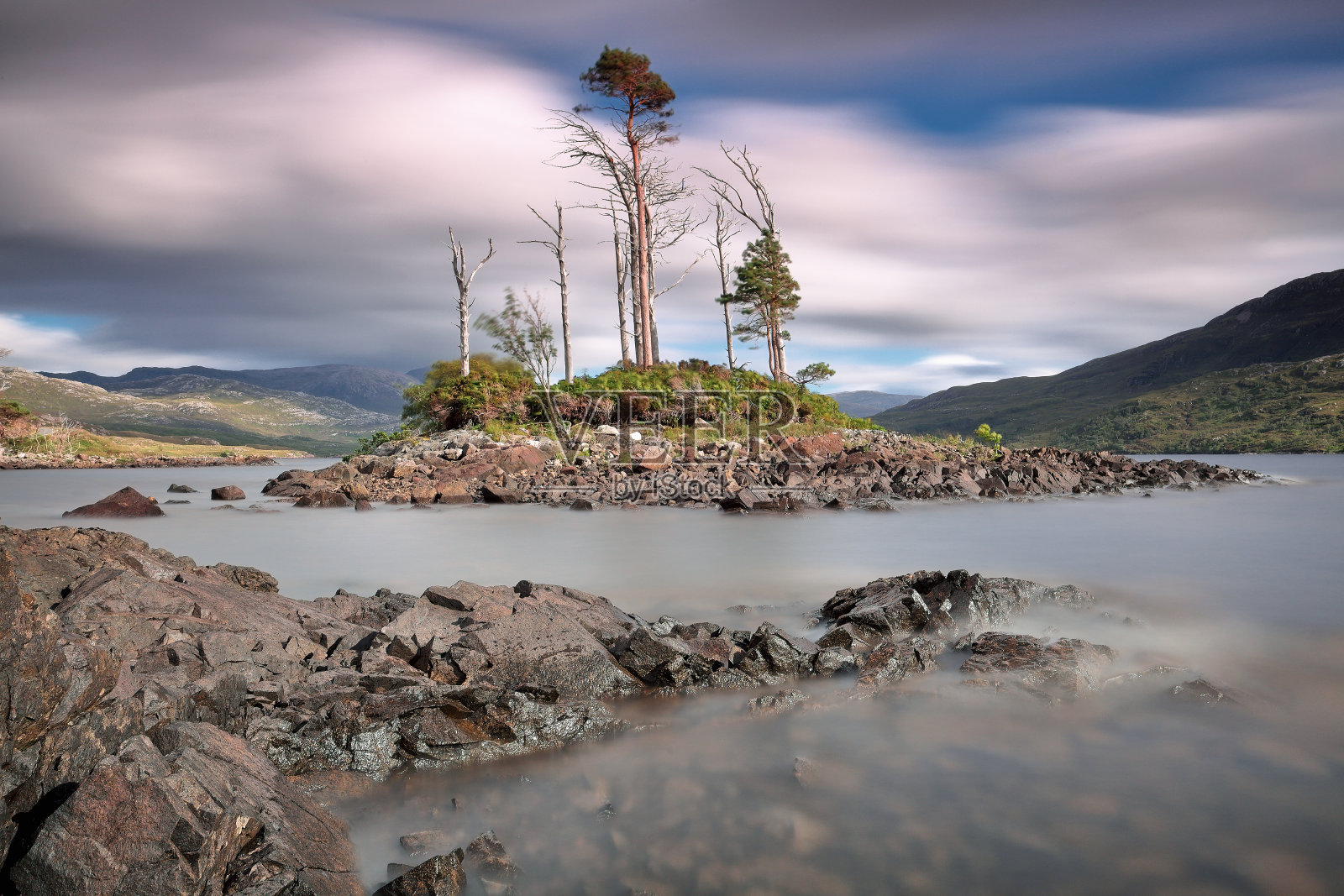 在苏格兰萨瑟兰的阿辛特湖的一个岛上挣扎的针叶树的美丽风景照片摄影图片