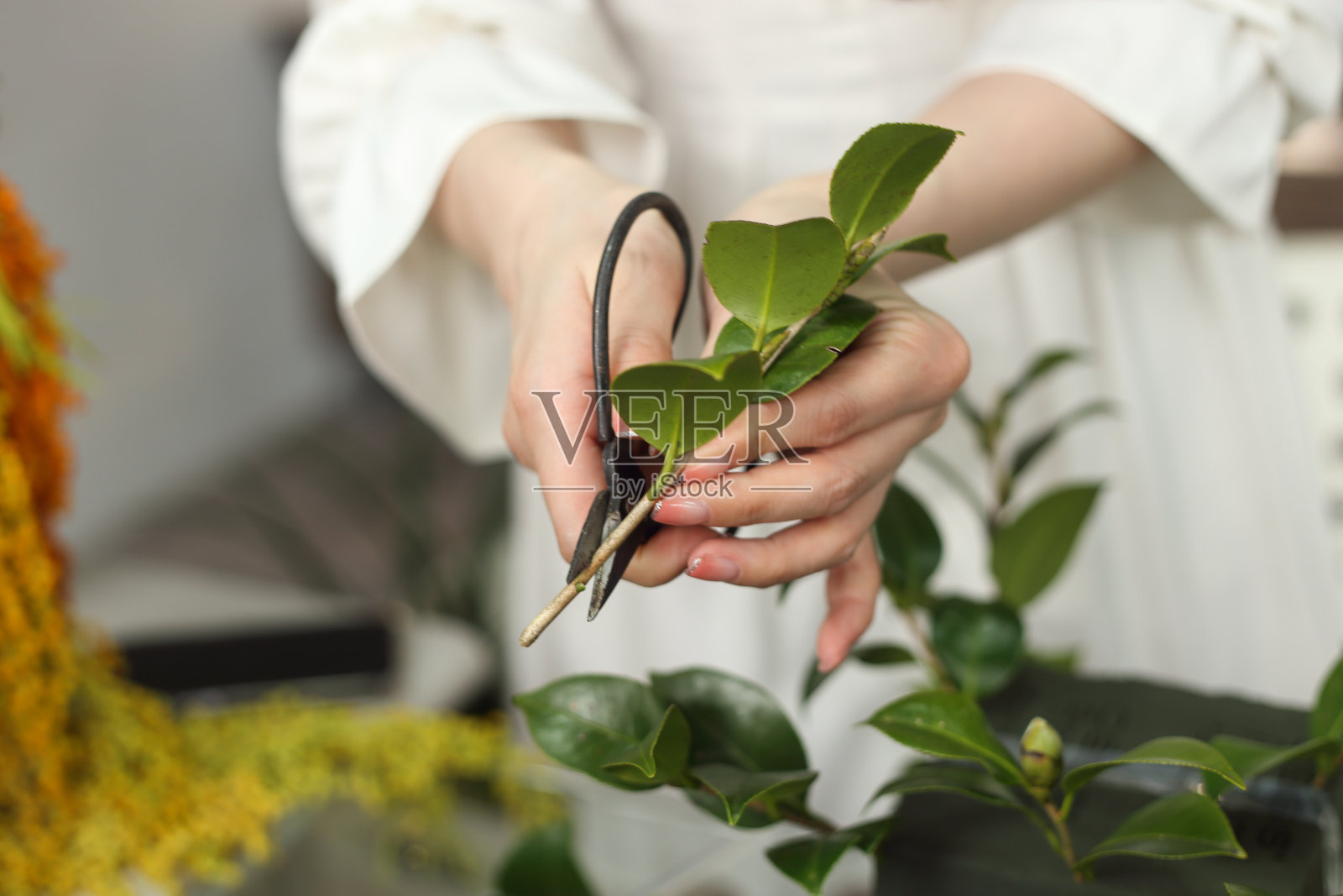 女性花卉艺术课程照片摄影图片