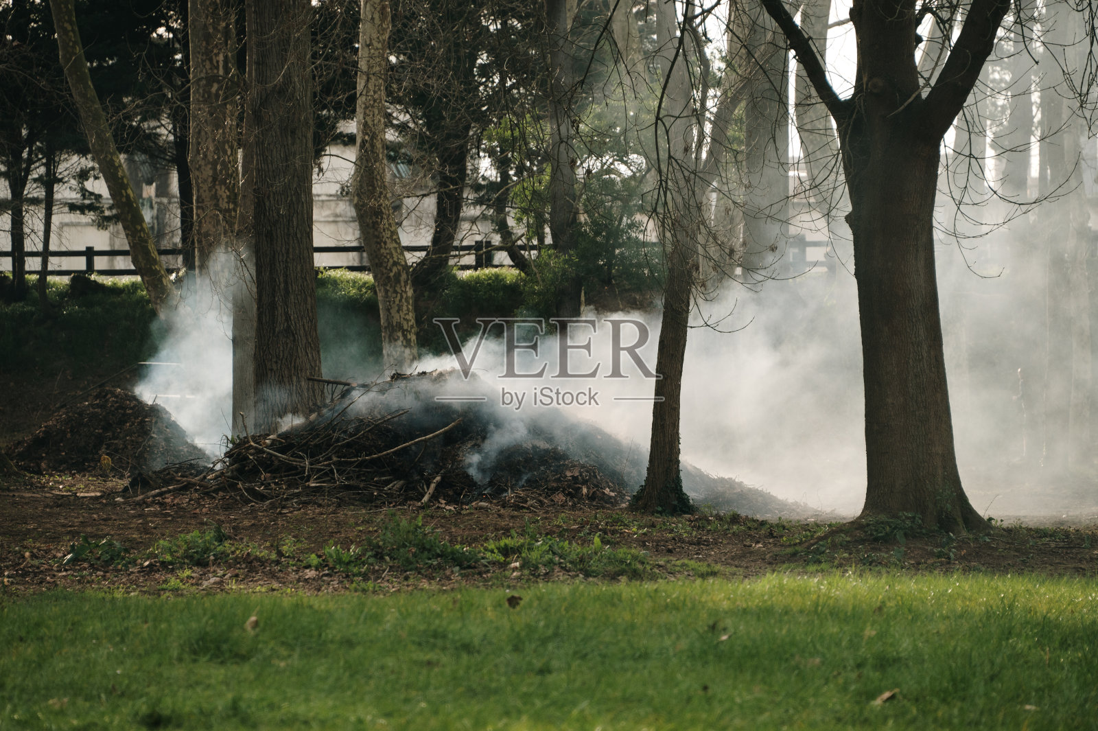 森林里燃烧的残茬照片摄影图片