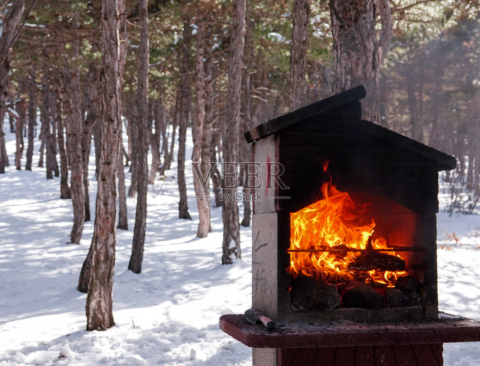 冬天在森林里烧烤照片摄影图片