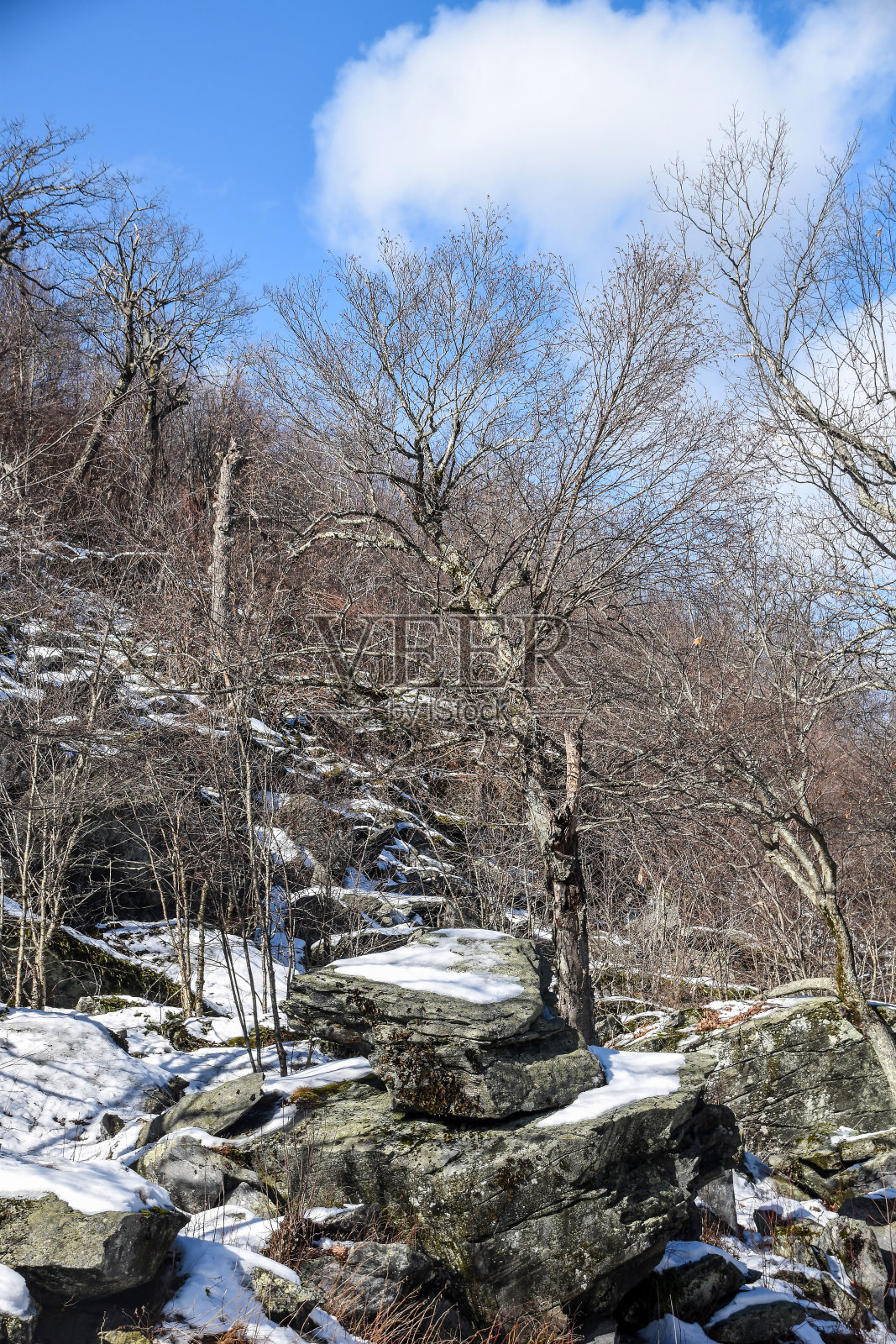 瓦塞特山的岩石地形被积雪覆盖照片摄影图片