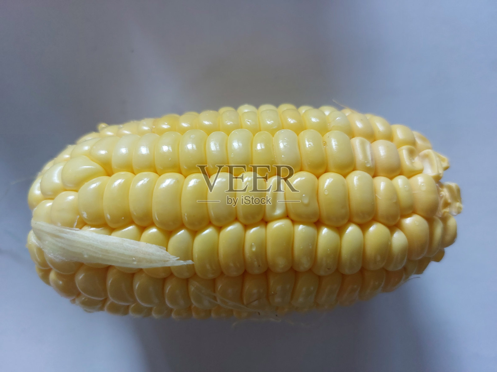 玉米照片摄影图片